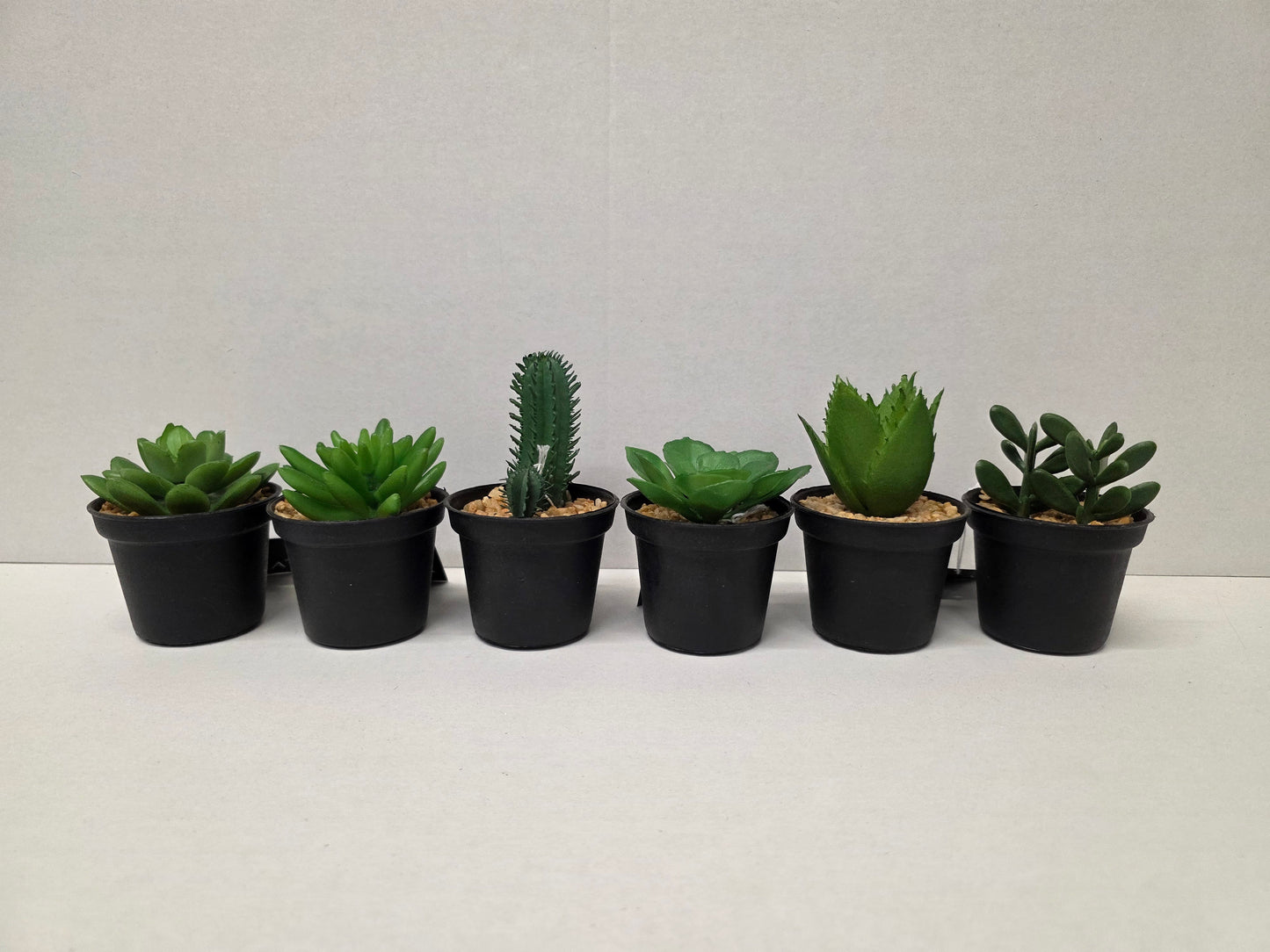 Artificial Assorted Pot Succulent 11x7cm (PACK OF ANY 2)