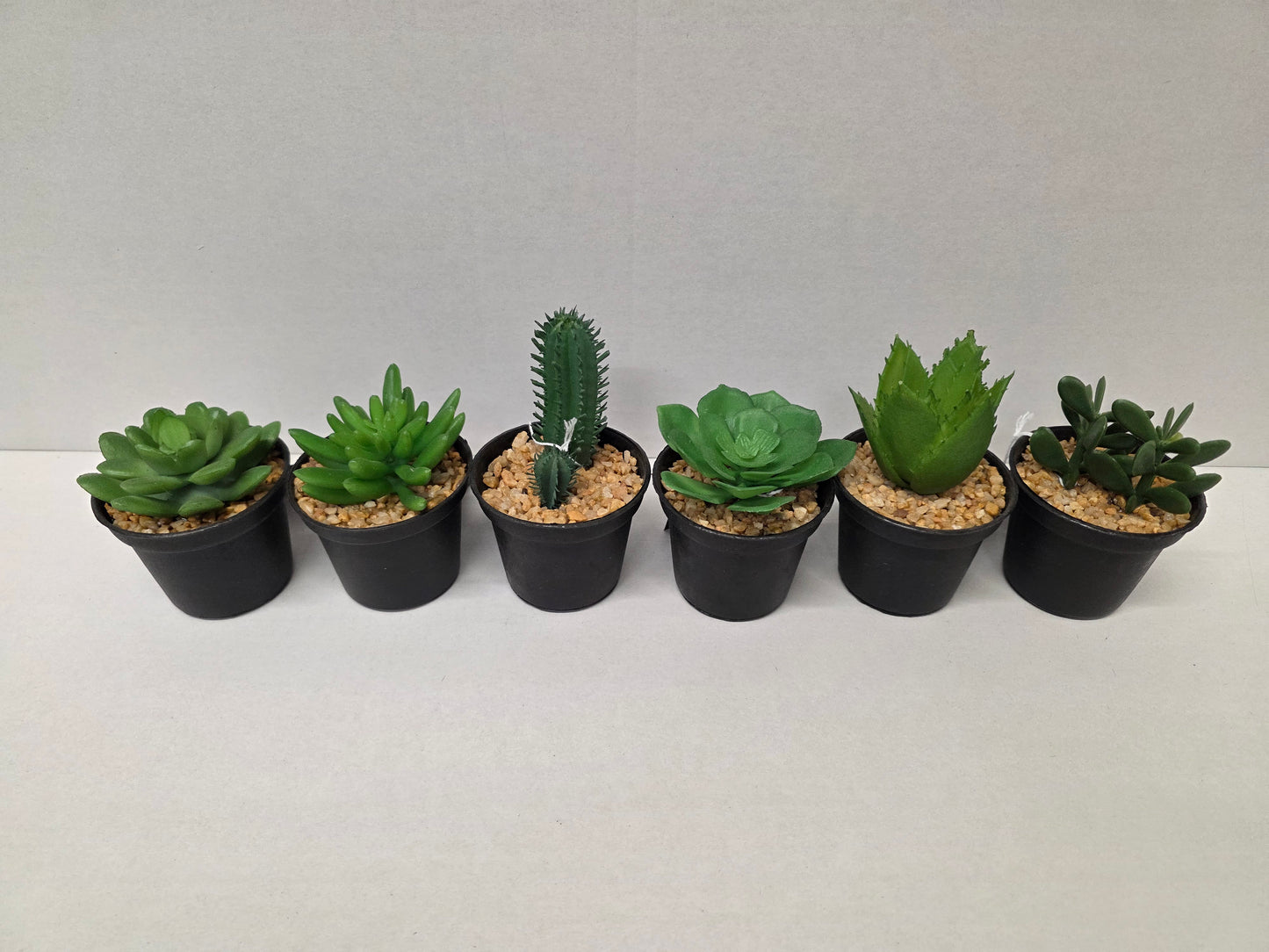 Artificial Assorted Pot Succulent 11x7cm (PACK OF ANY 2)