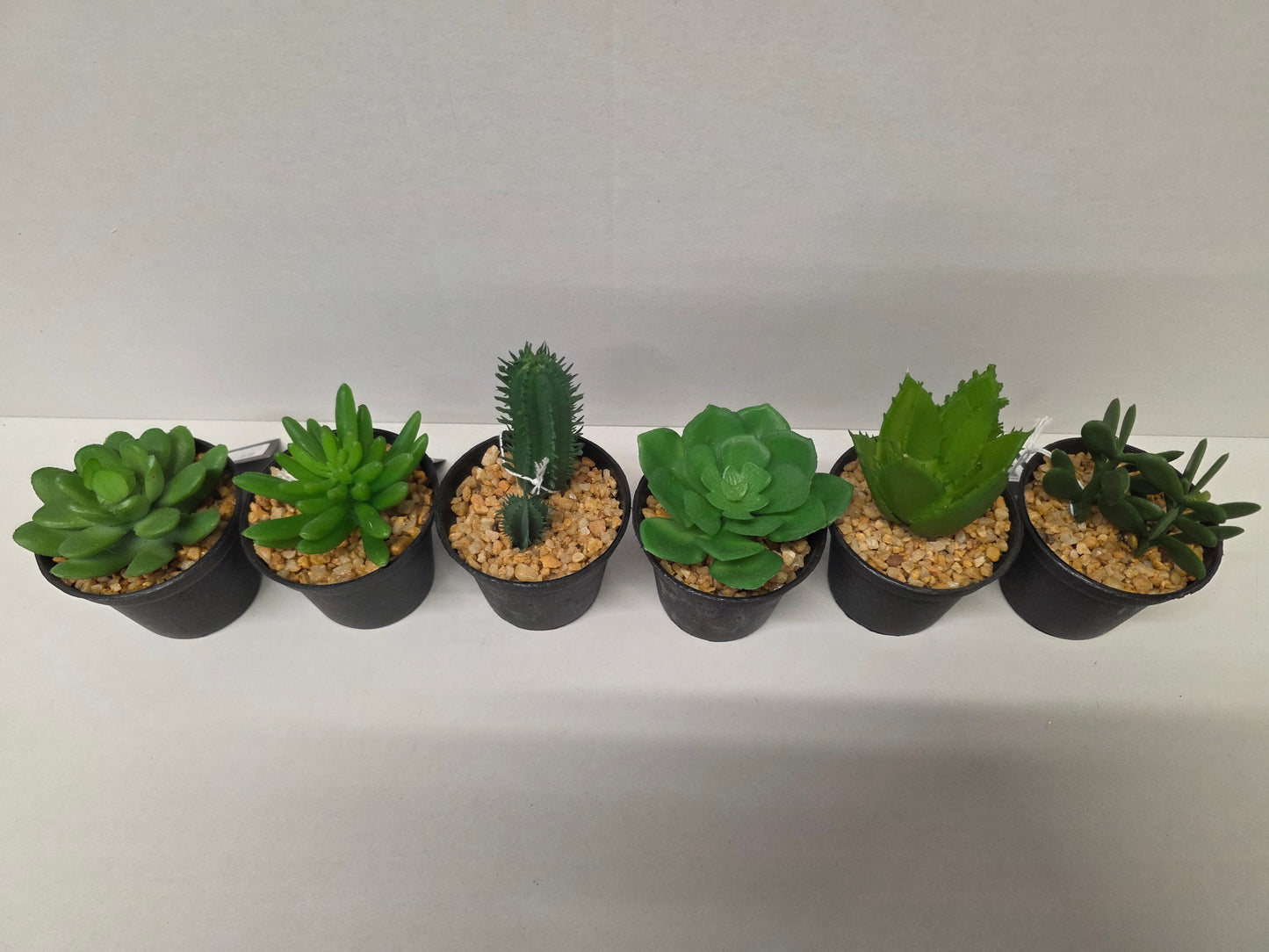 Artificial Assorted Pot Succulent 11x7cm (PACK OF ANY 2)