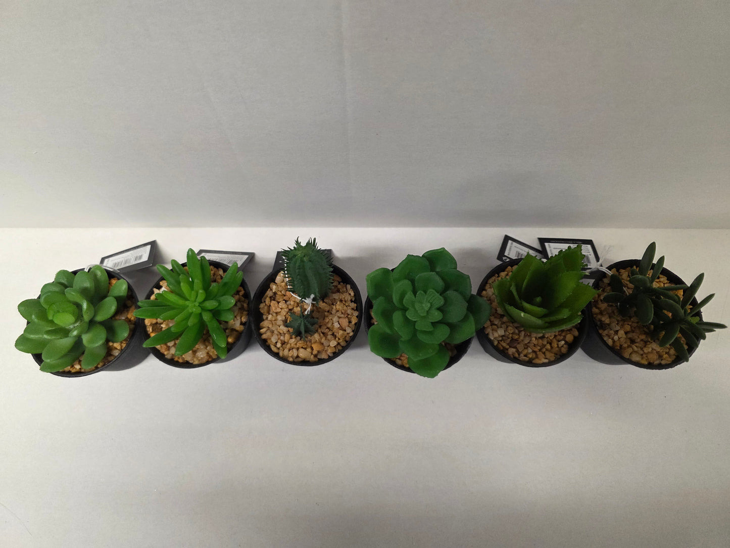 Artificial Assorted Pot Succulent 11x7cm (PACK OF ANY 2)