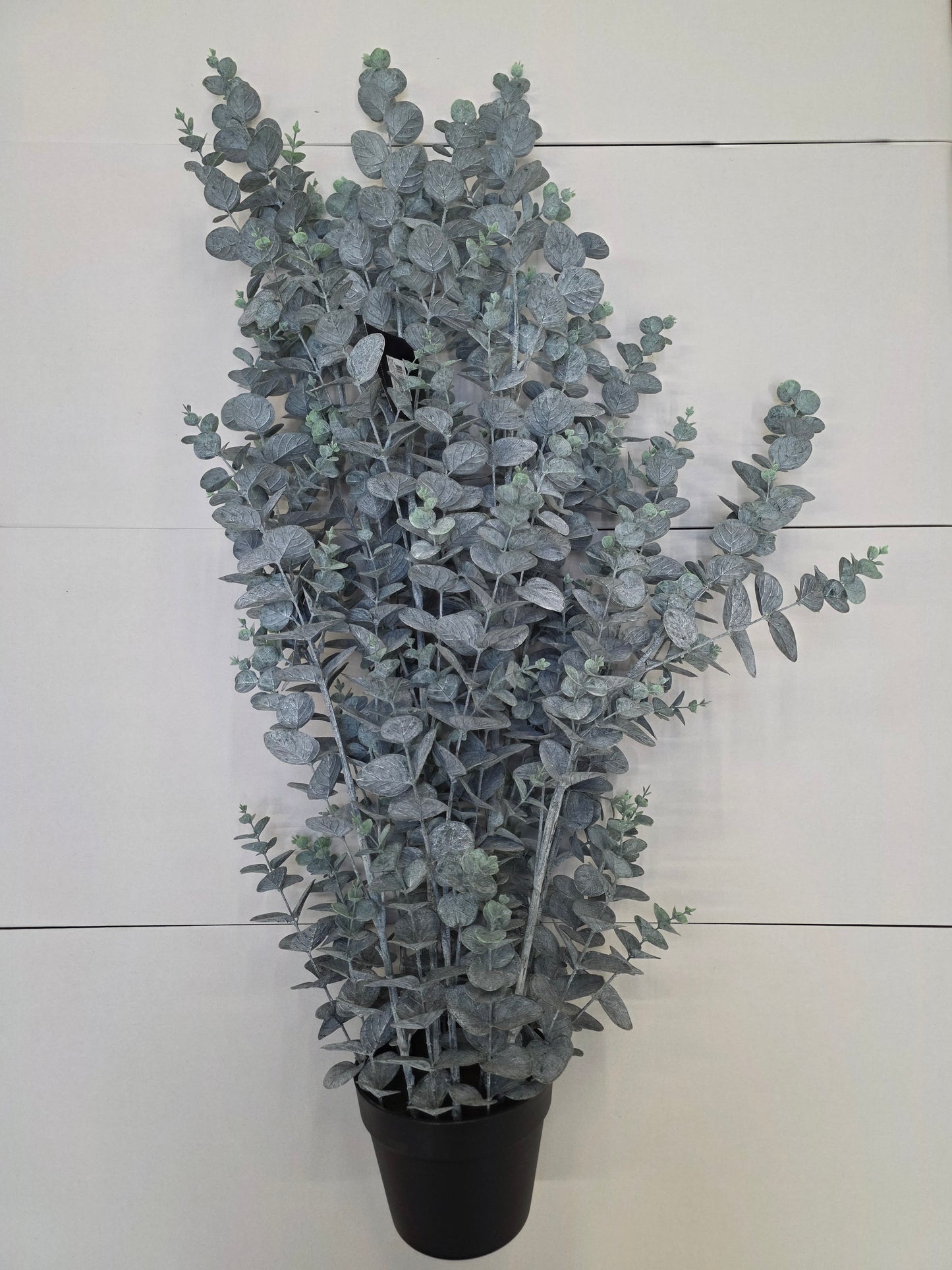 Artificial Eucalyptus In Pot Green