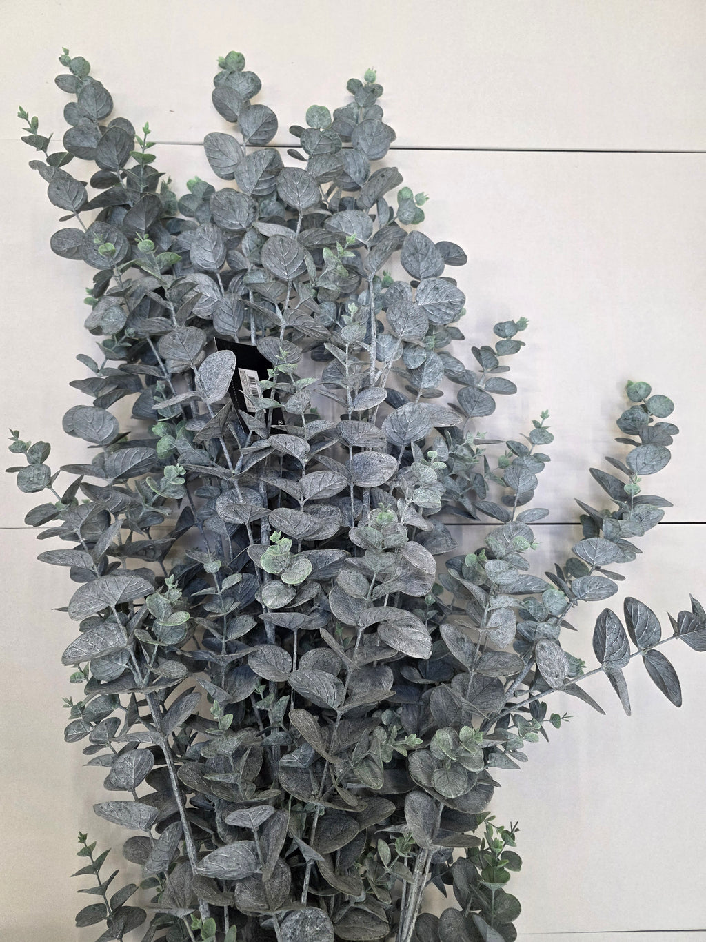 Artificial Eucalyptus In Pot Green