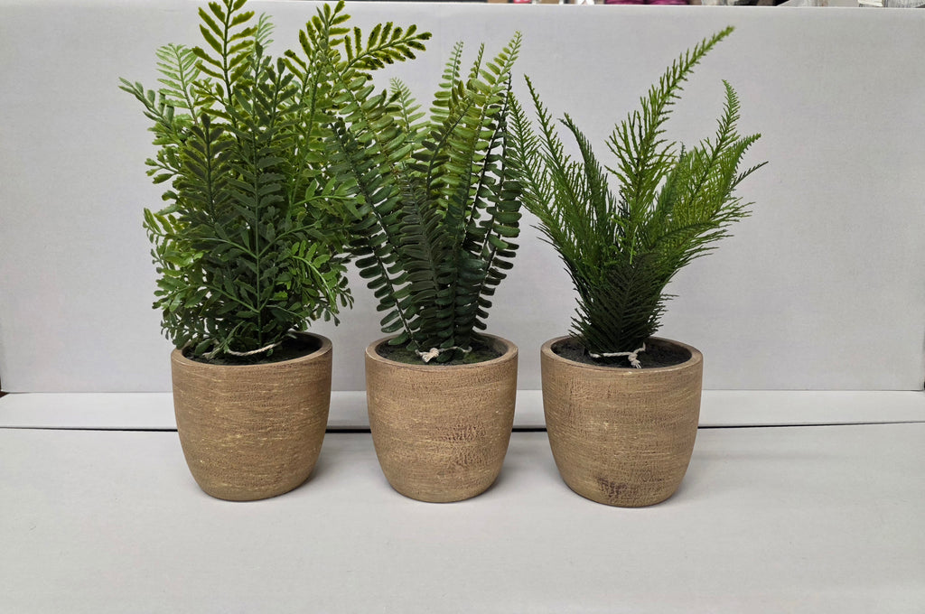 Artificial Fern In Pot Assorted 37cm (PACK OF 1)