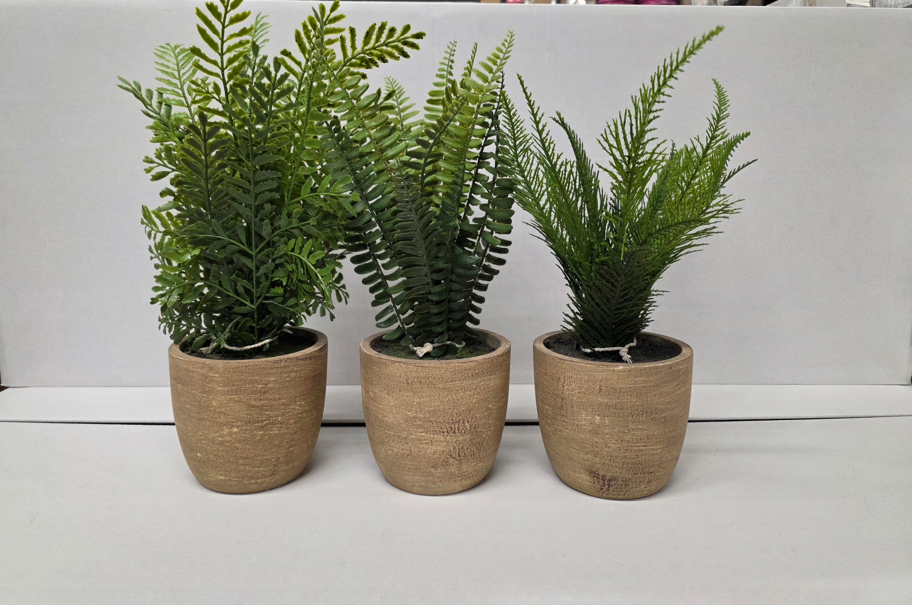Artificial Fern In Pot Assorted 37cm (PACK OF 1)