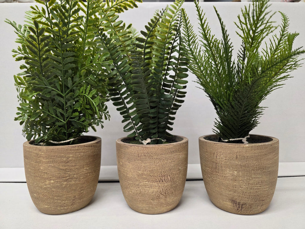 Artificial Fern In Pot Assorted 37cm (PACK OF 1)