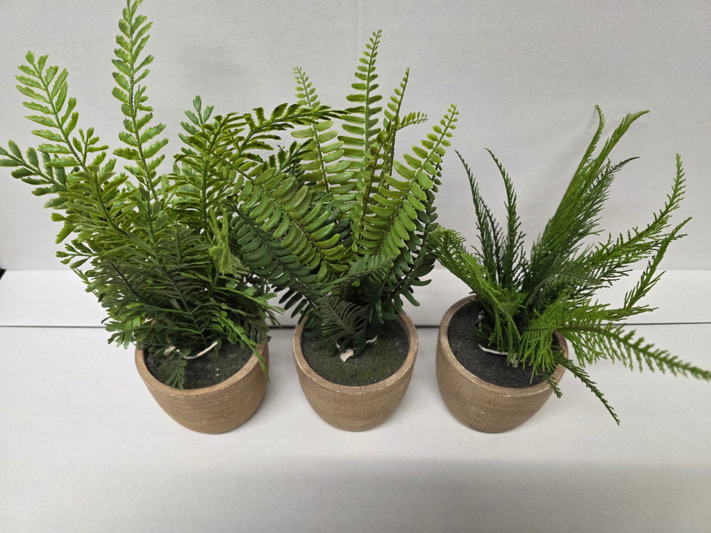 Artificial Fern In Pot Assorted 37cm (PACK OF 1)