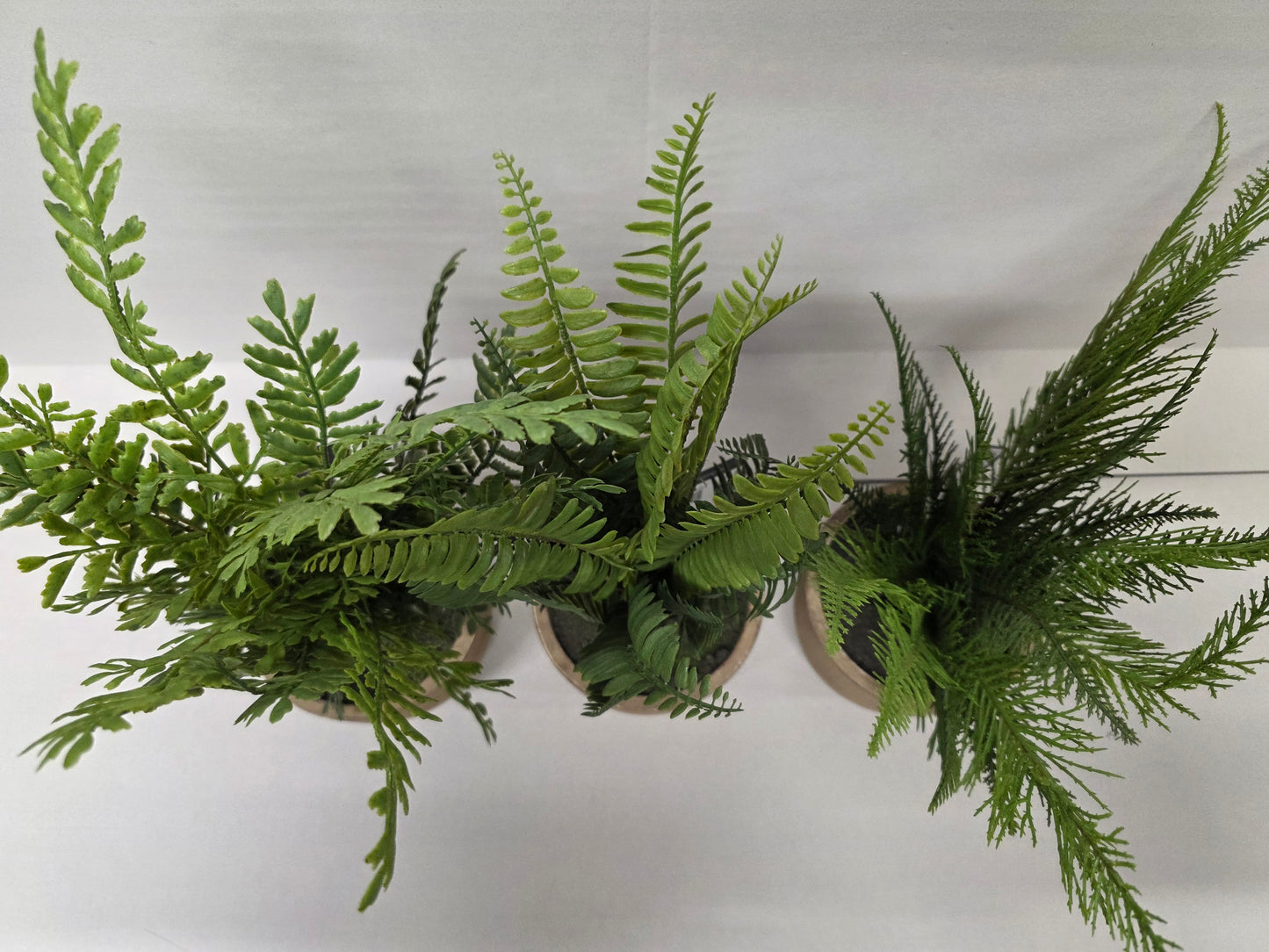 Artificial Fern In Pot Assorted 37cm
