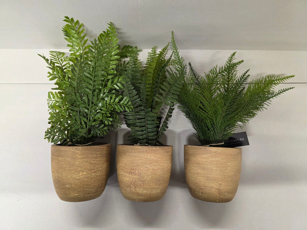 Artificial Fern In Pot Assorted 37cm (PACK OF 1)