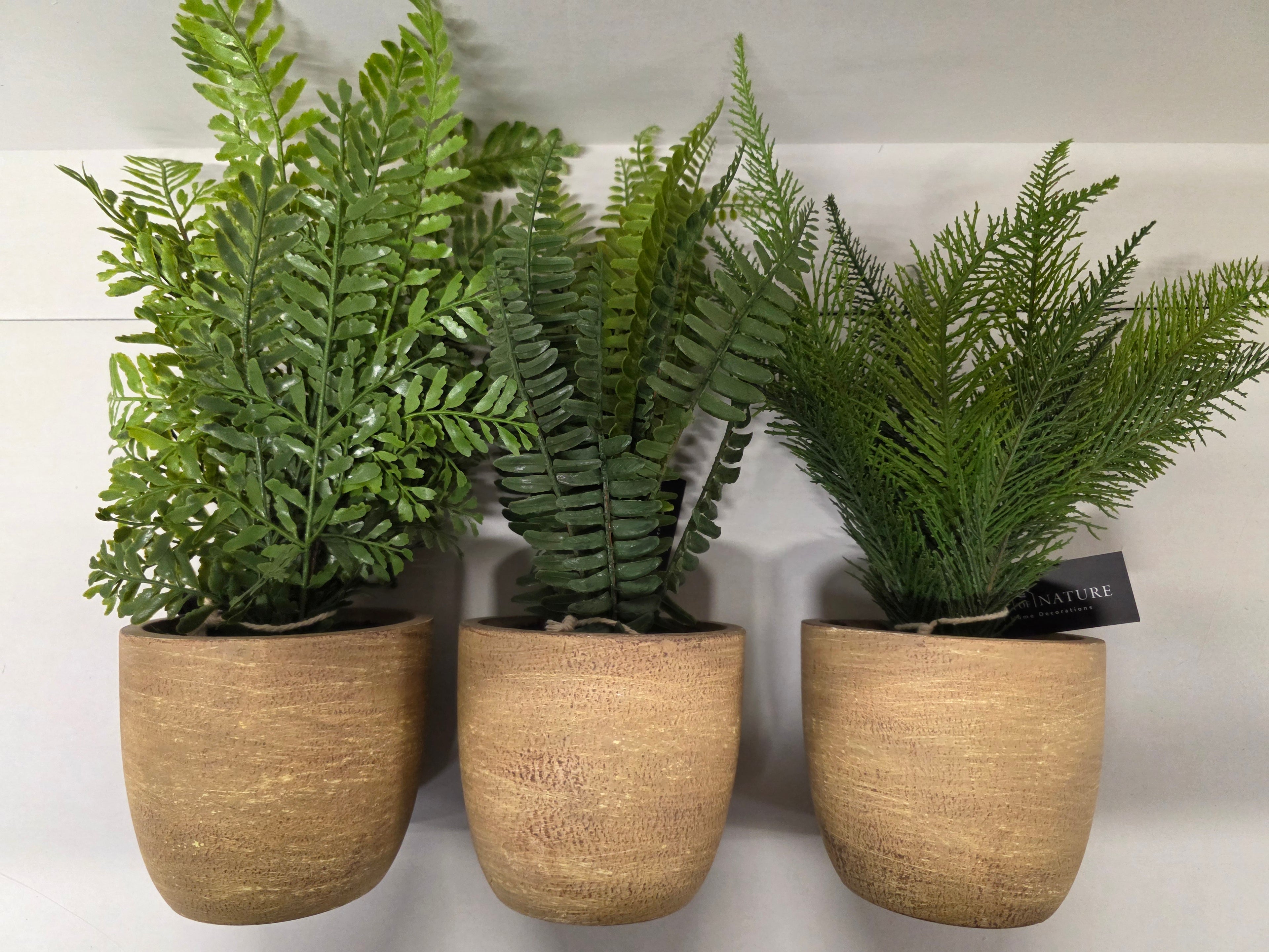 Artificial Fern In Pot Assorted 37cm (PACK OF 1)