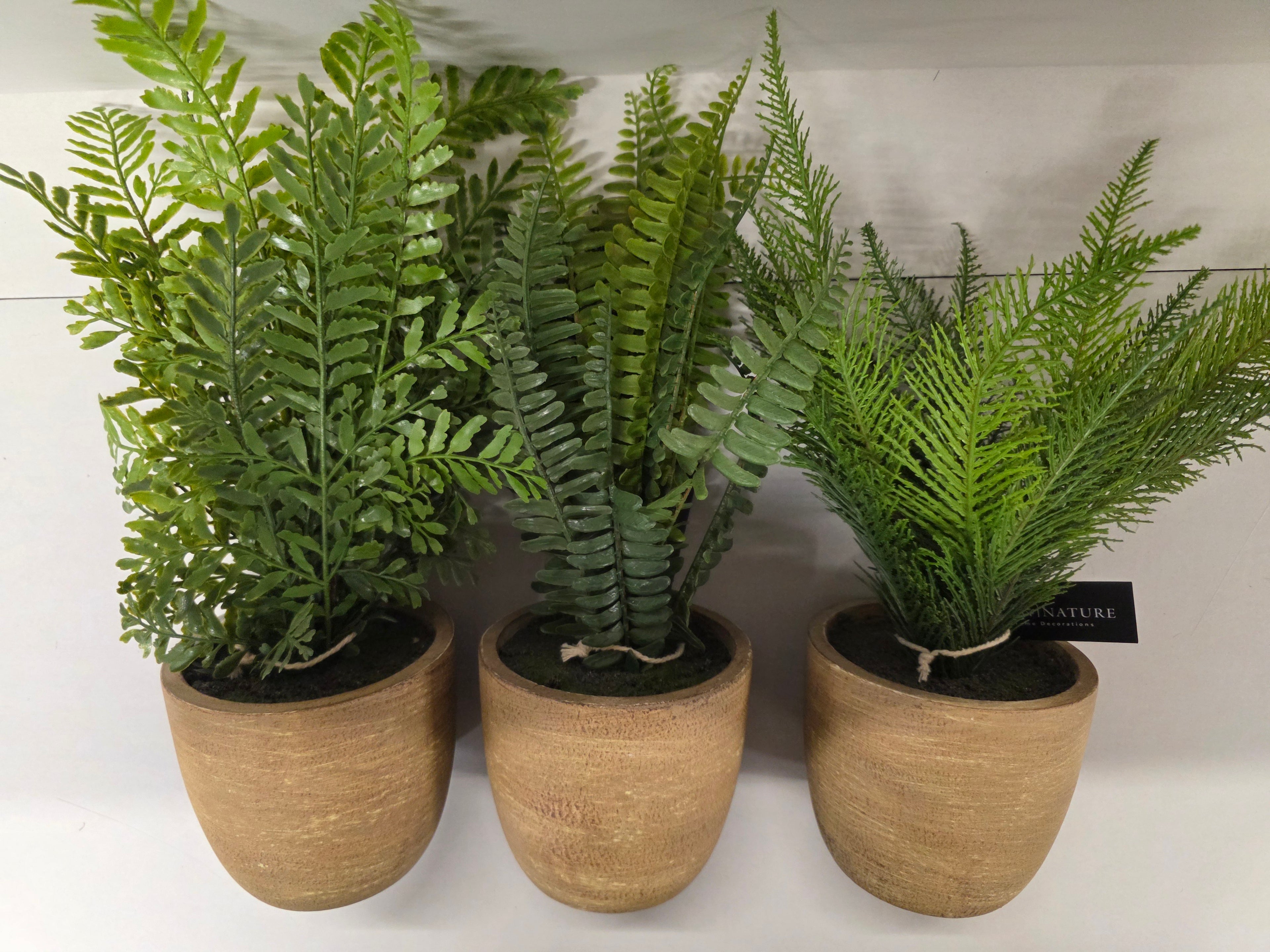 Artificial Fern In Pot Assorted 37cm (PACK OF 1)