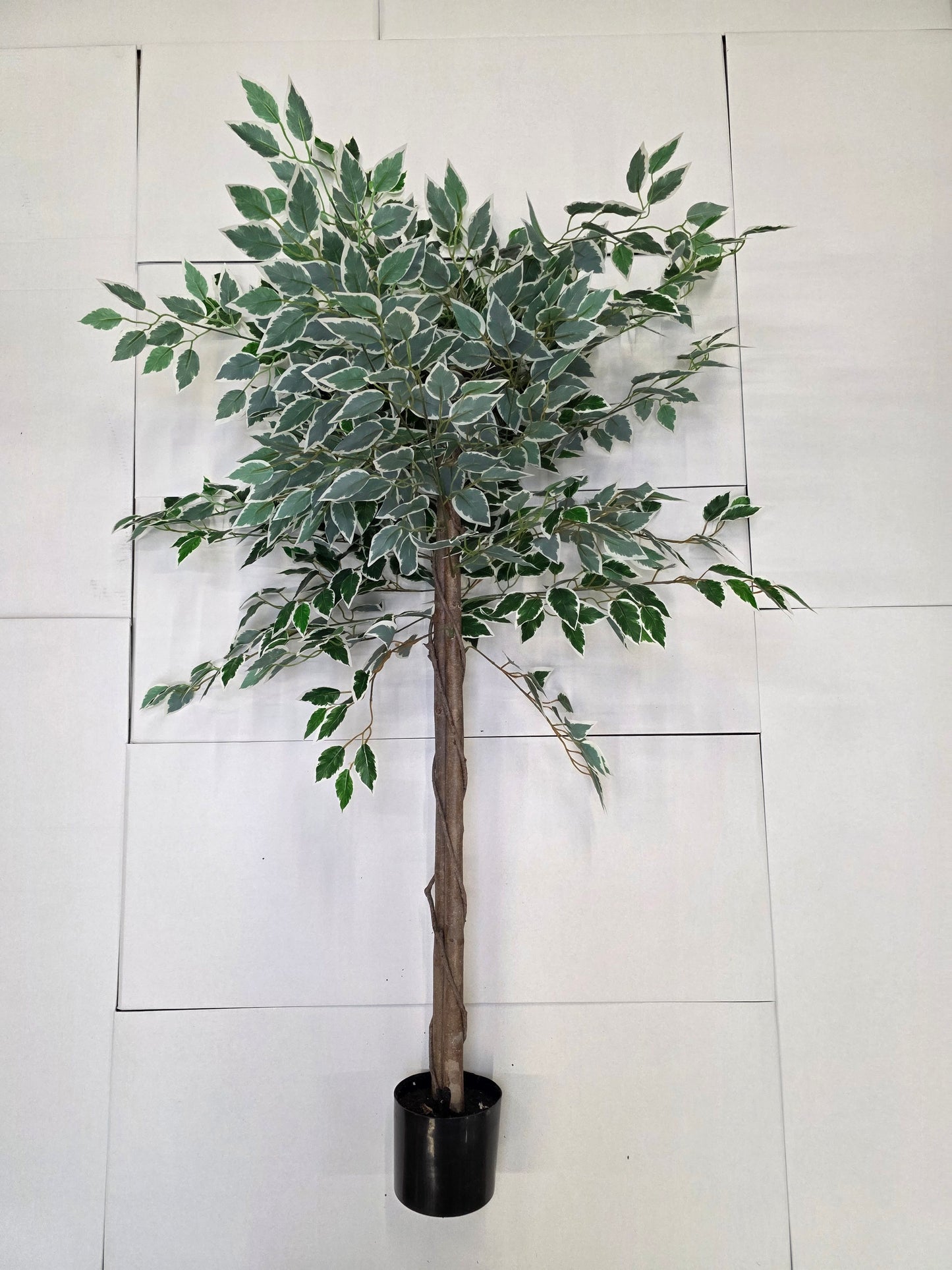 Artificial Ficus In Pot Green Variegated