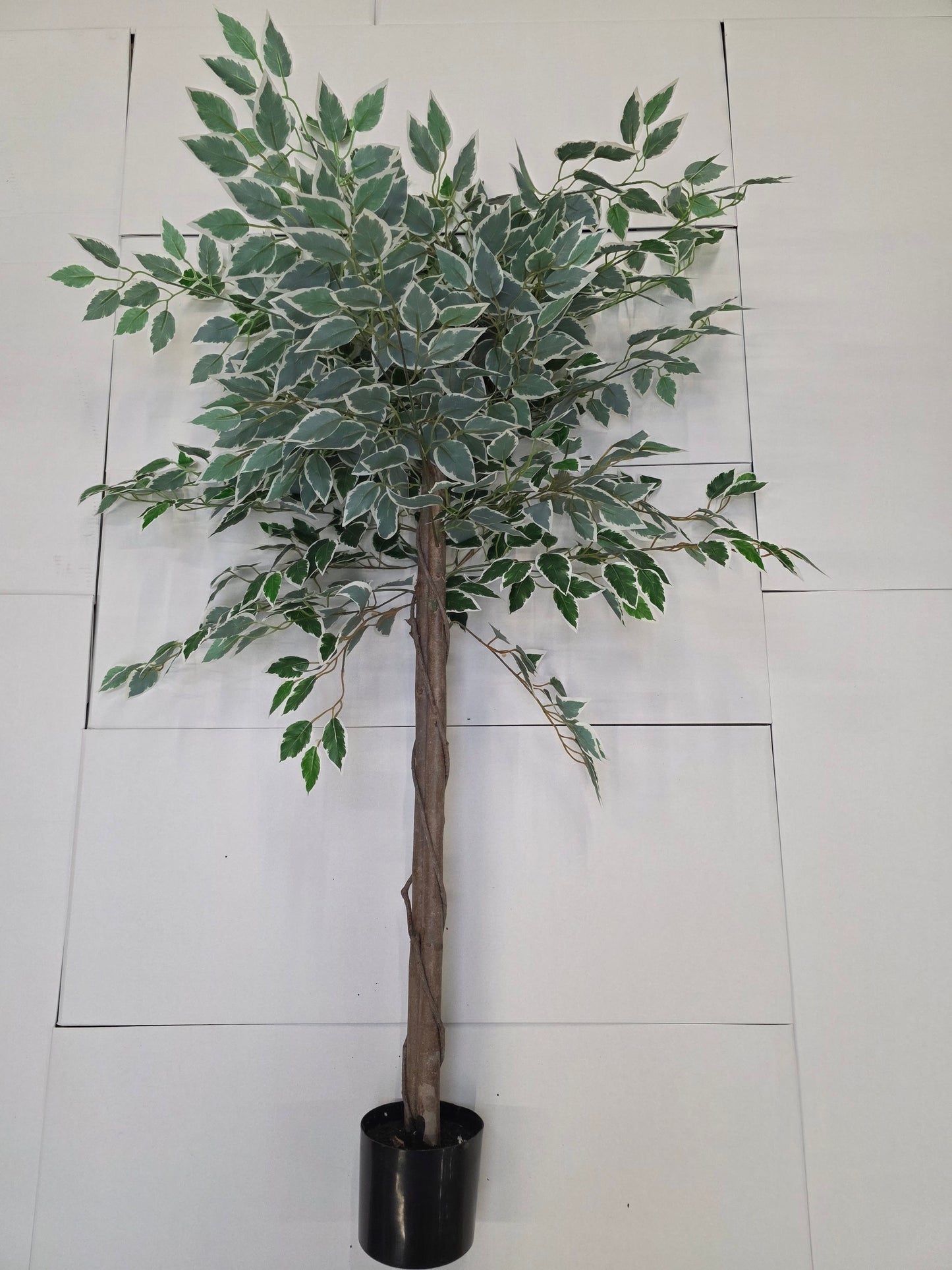 Artificial Ficus In Pot Green Variegated