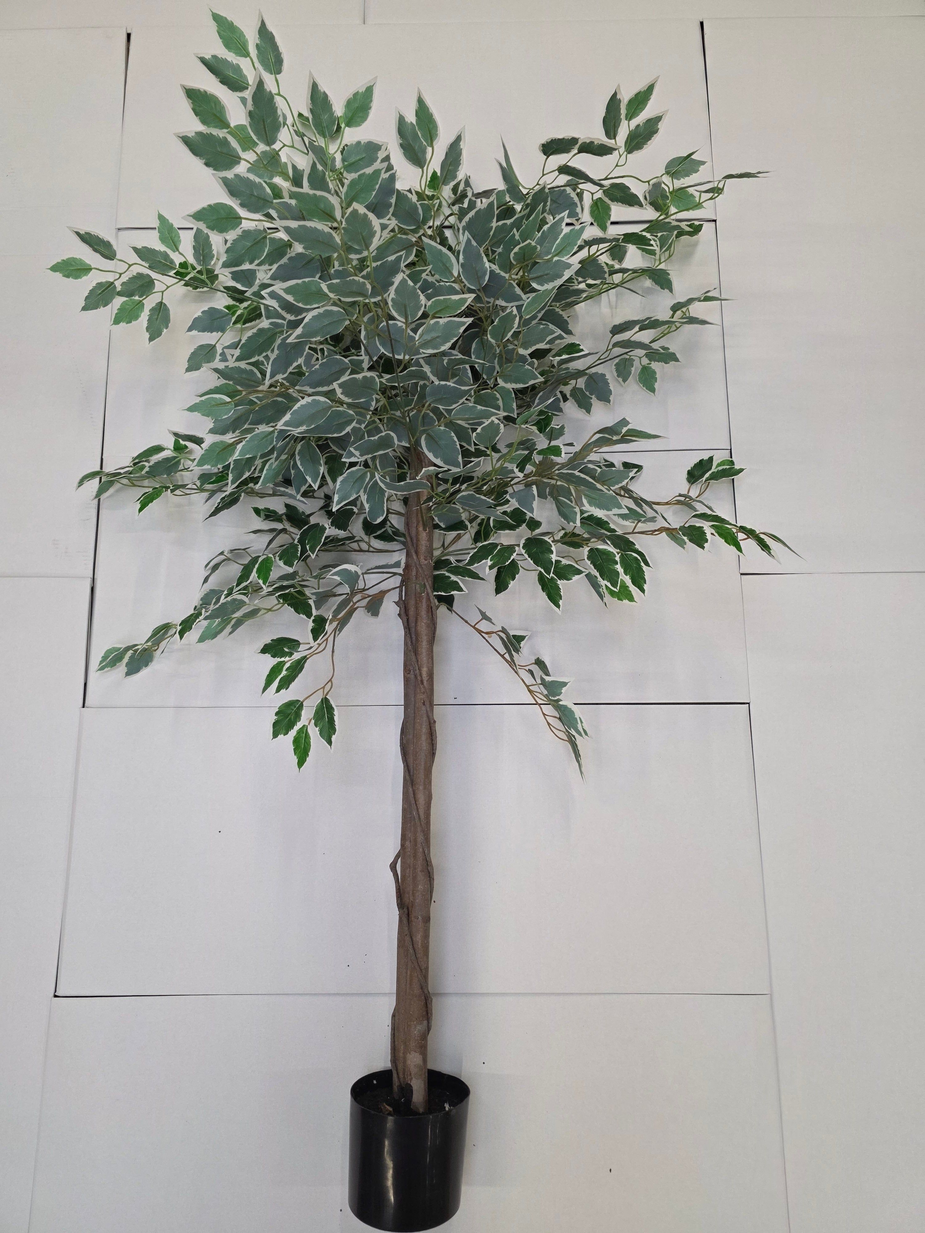 Artificial Ficus In Pot Green Variegated