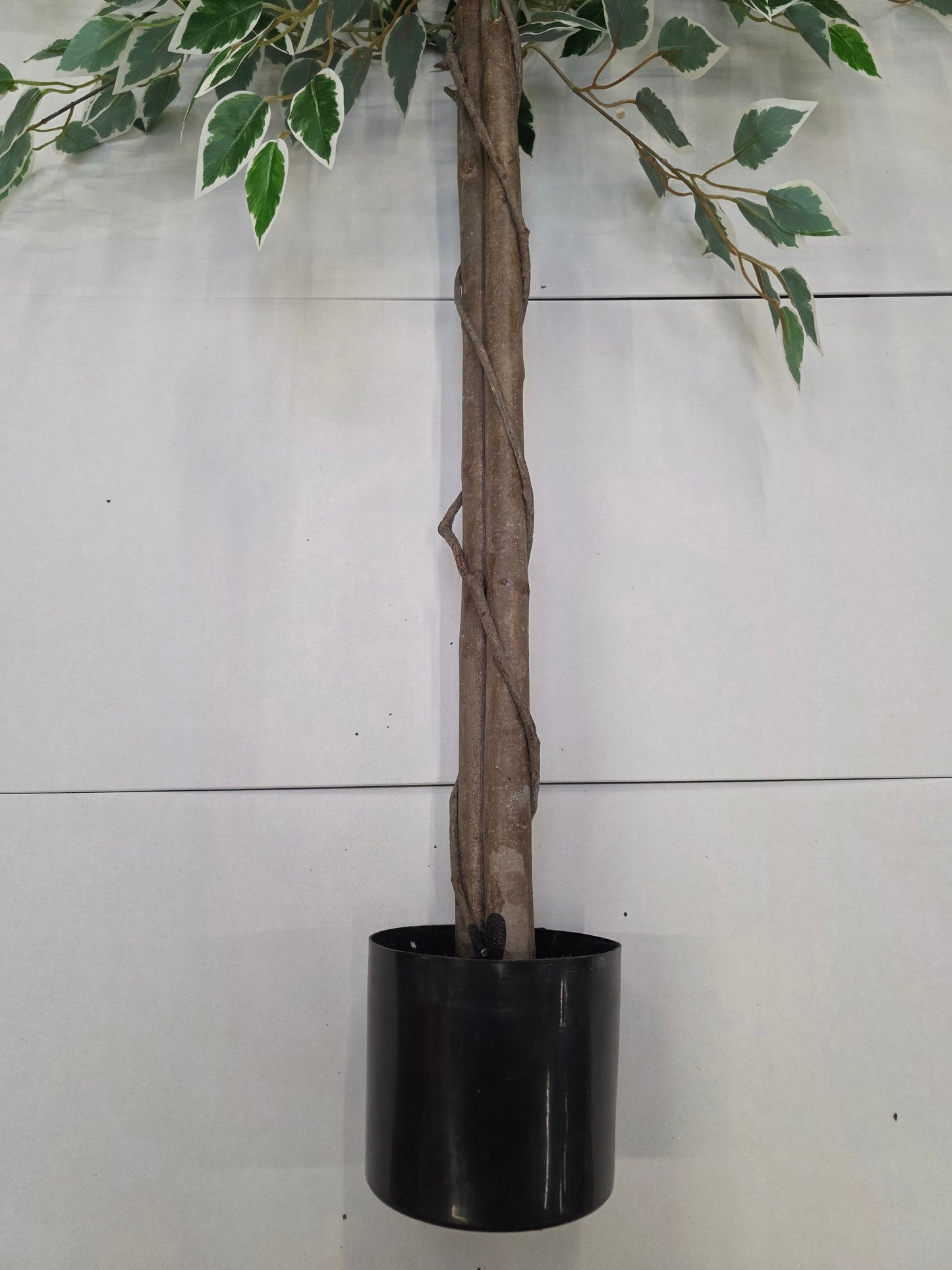 Artificial Ficus In Pot Green Variegated