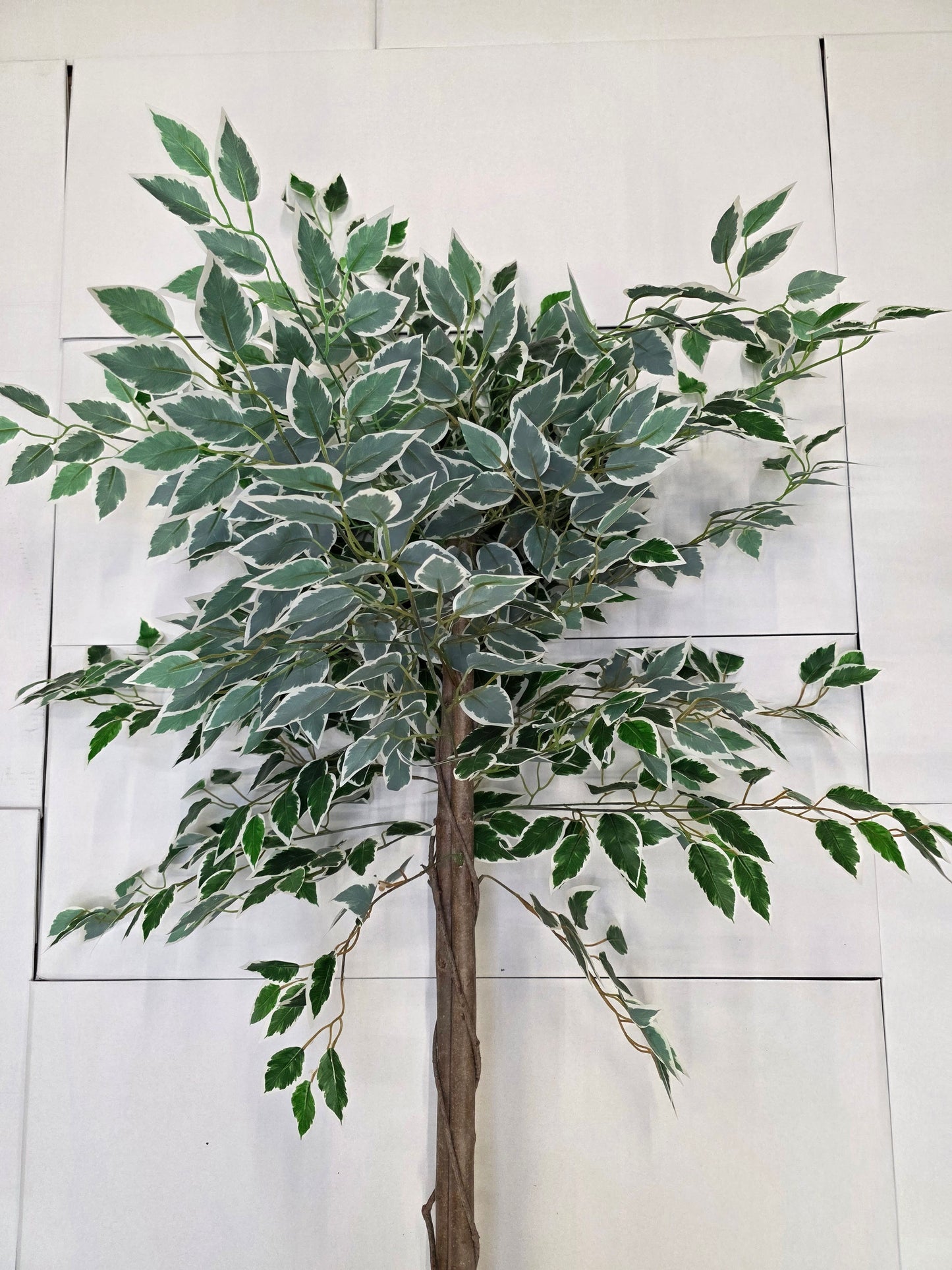 Artificial Ficus In Pot Green Variegated