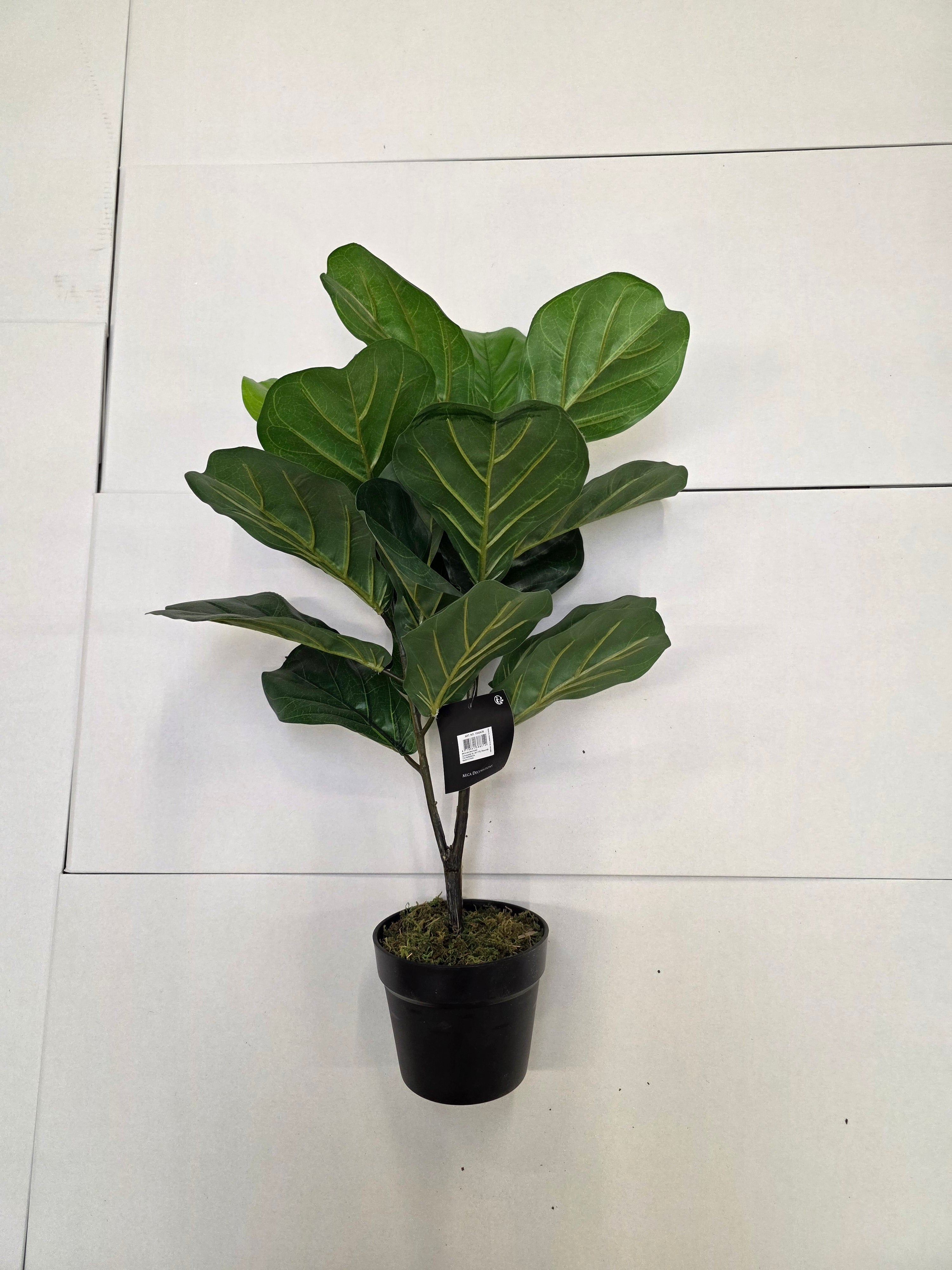Artificial Ficus Lyrata Green 75cm