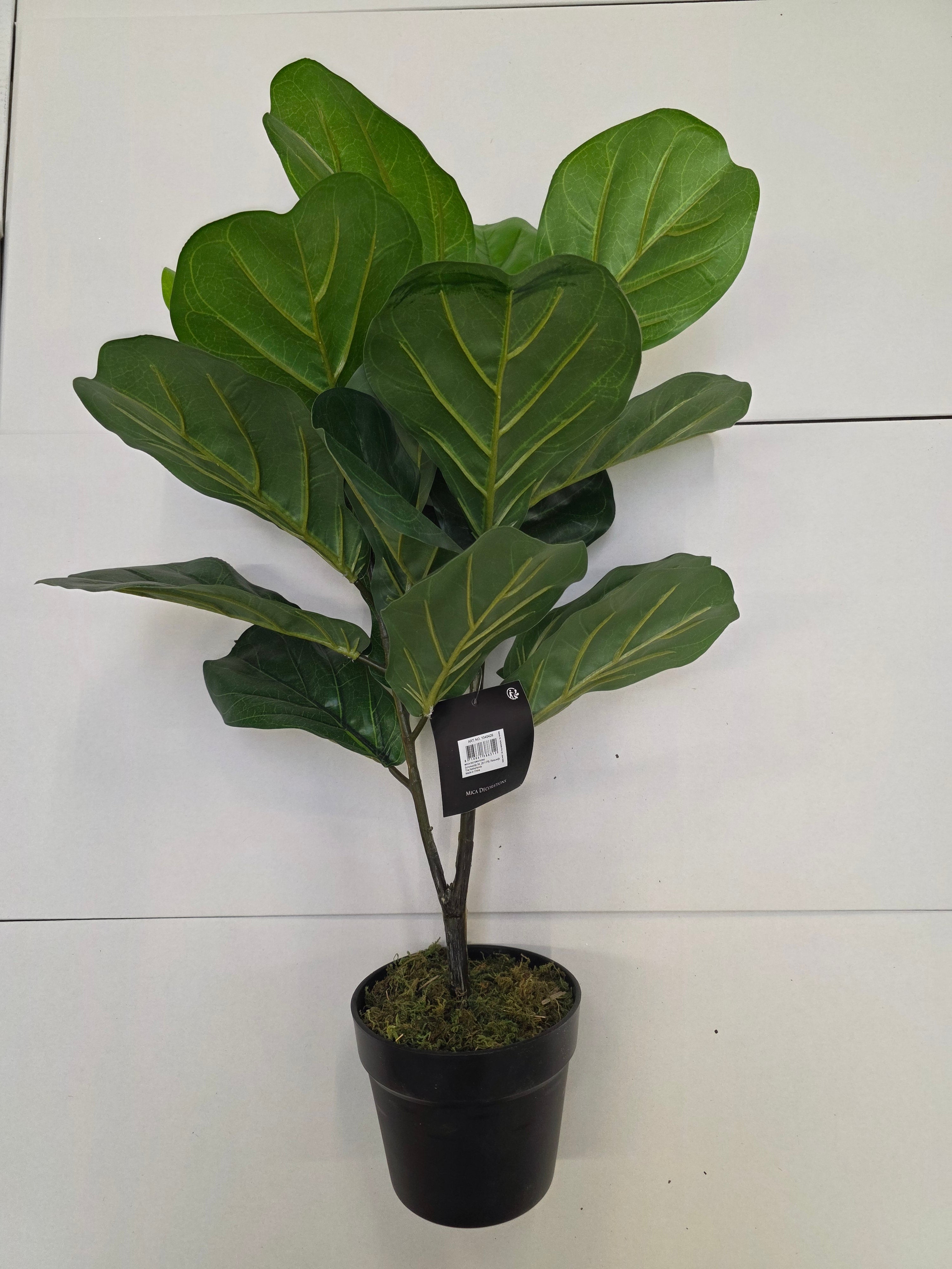 Artificial Ficus Lyrata Green 75cm