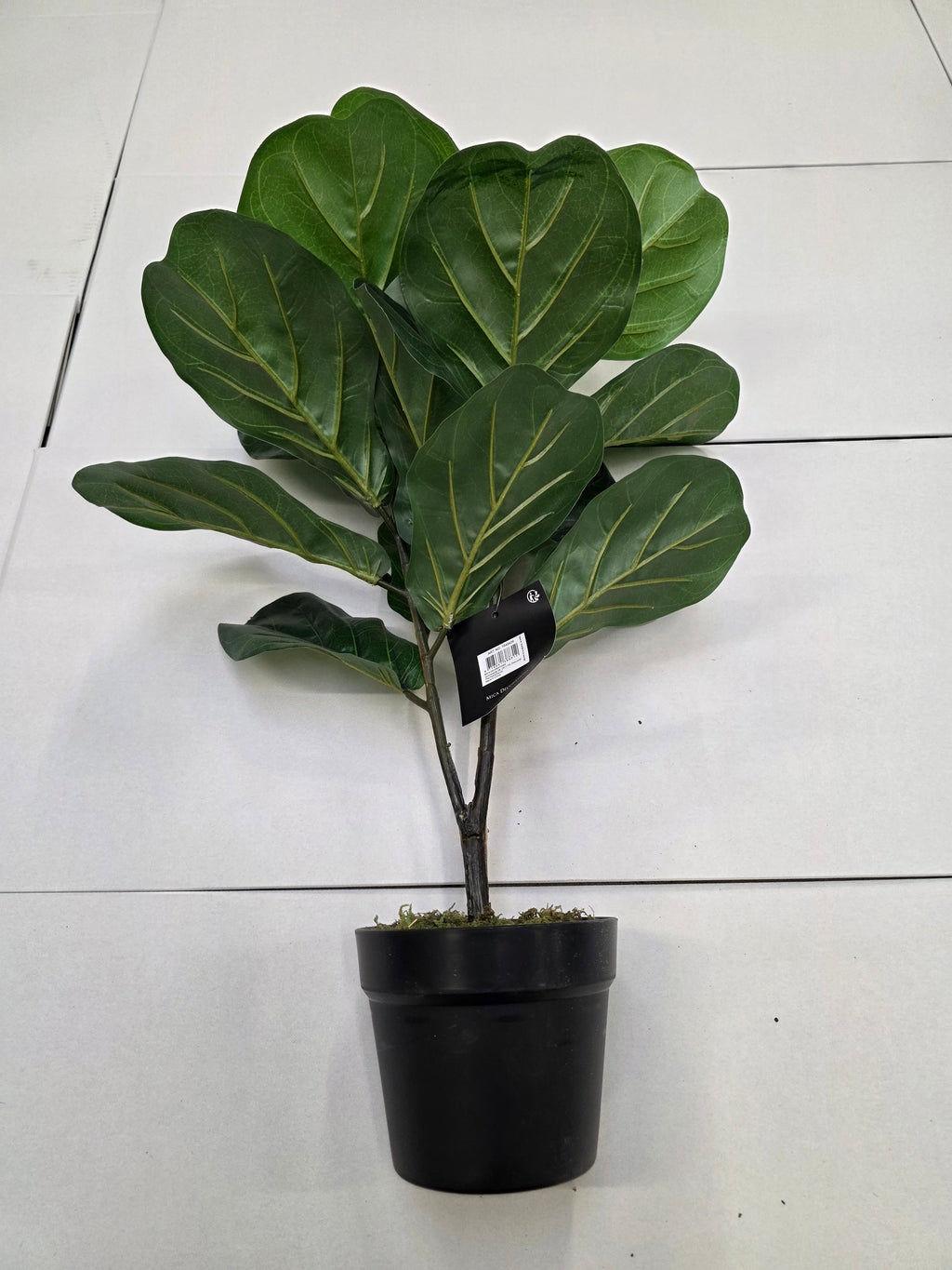 Artificial Ficus Lyrata Green 75cm