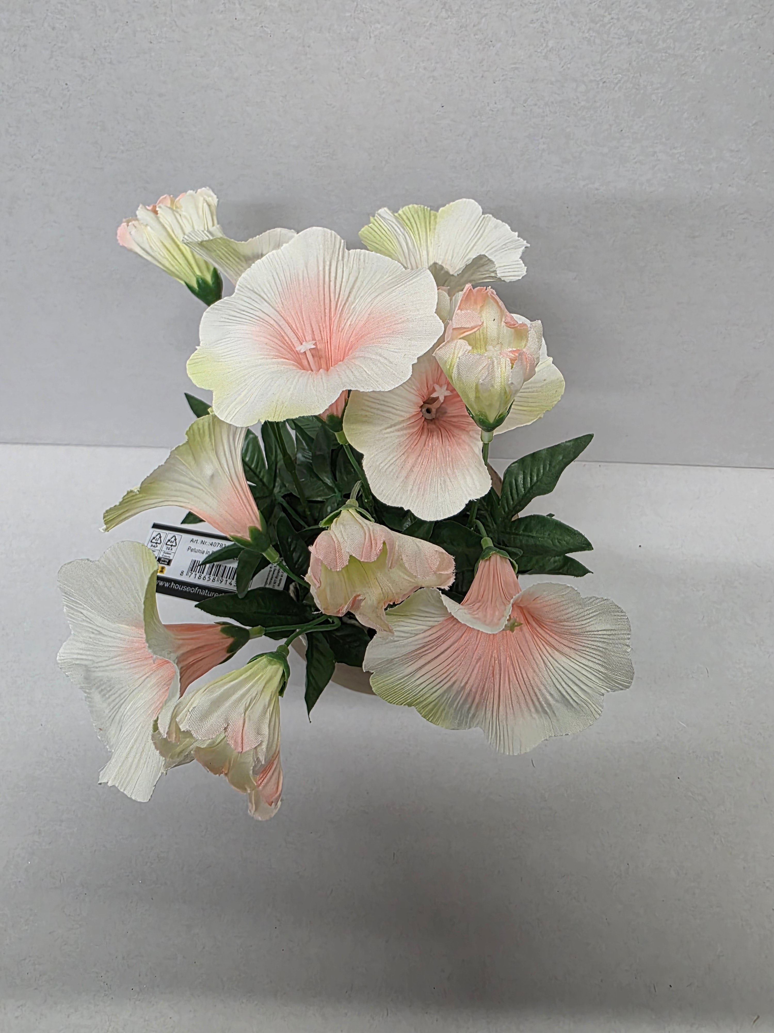 Artificial Petunia In Pot 28cm Blush (PACK OF 2)