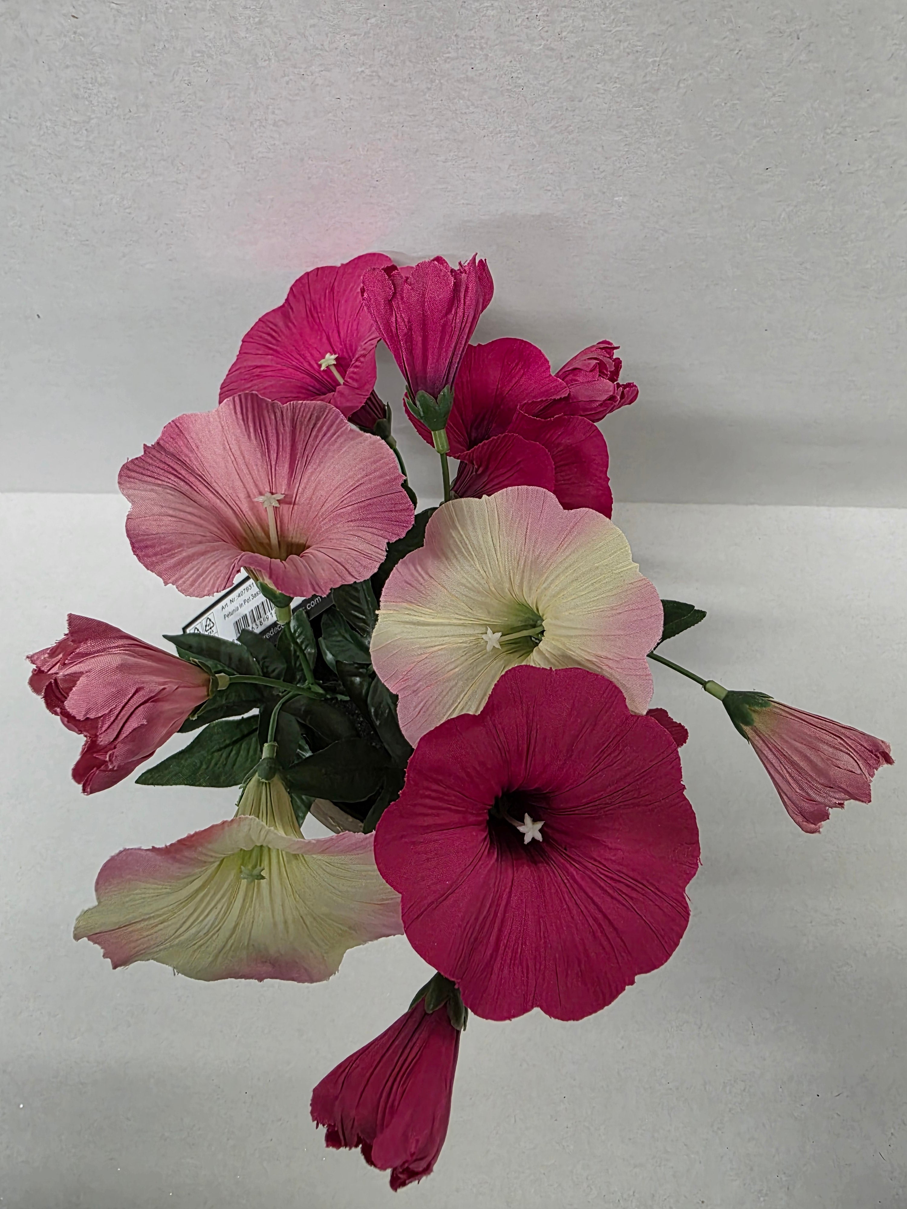 Artificial Petunia In Pot 28cm Cerise (PACK OF 2)