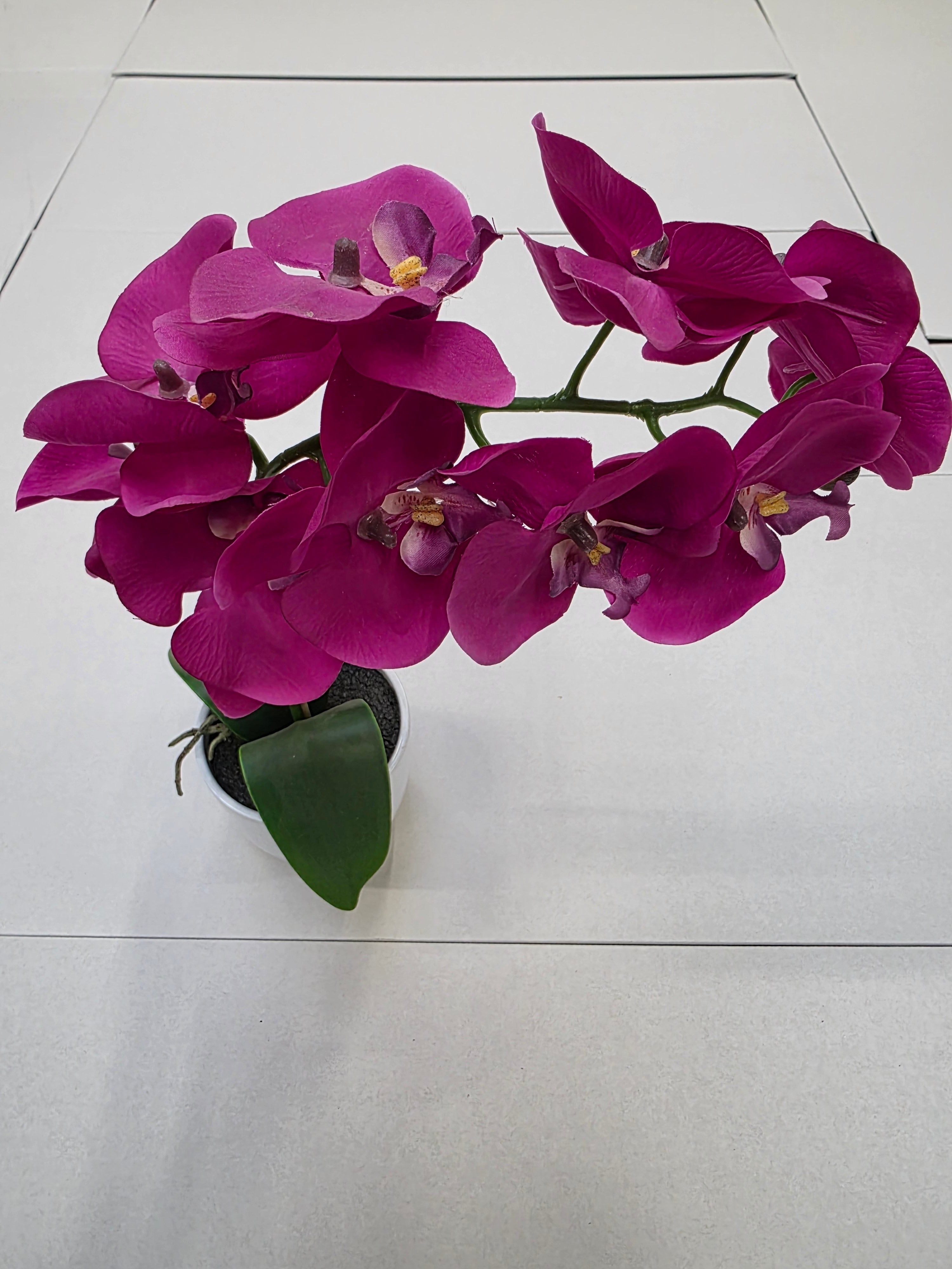 Artificial Phalaenopsis Purple In Pot 60cm