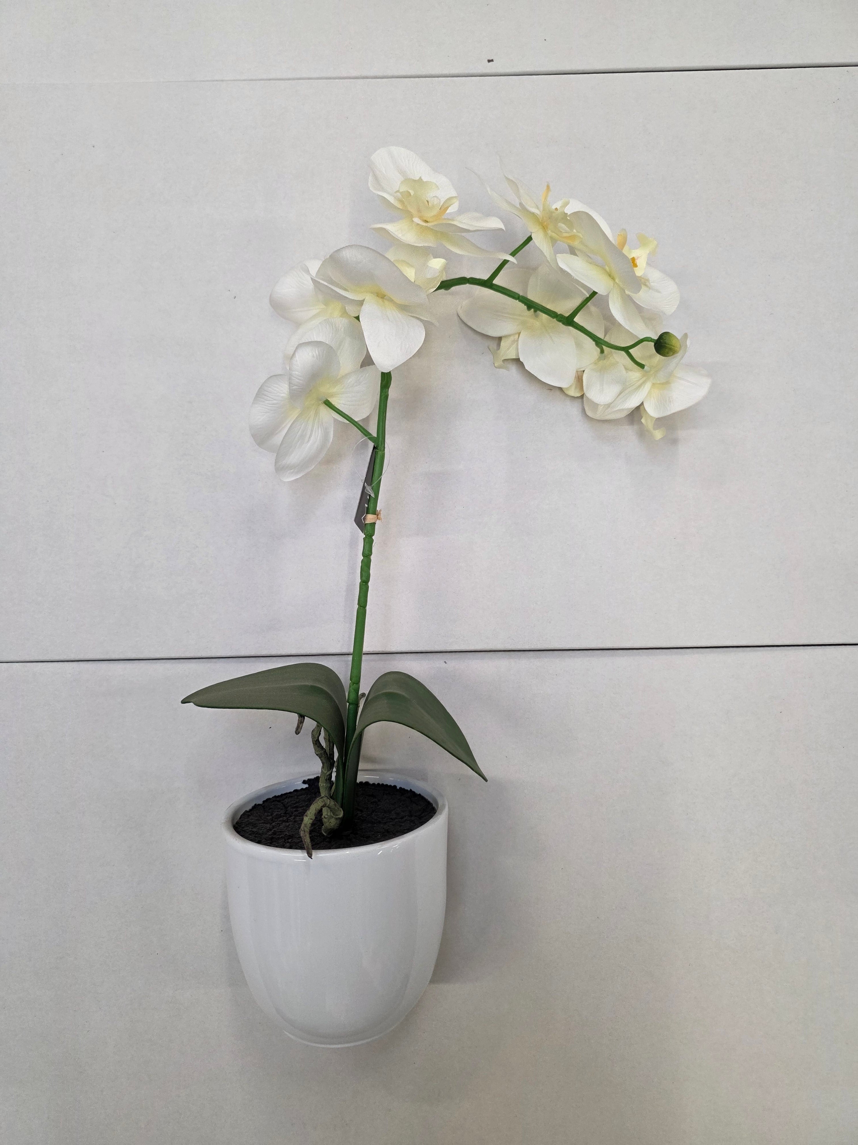 Artificial Phalaenopsis White In Pot 60cm
