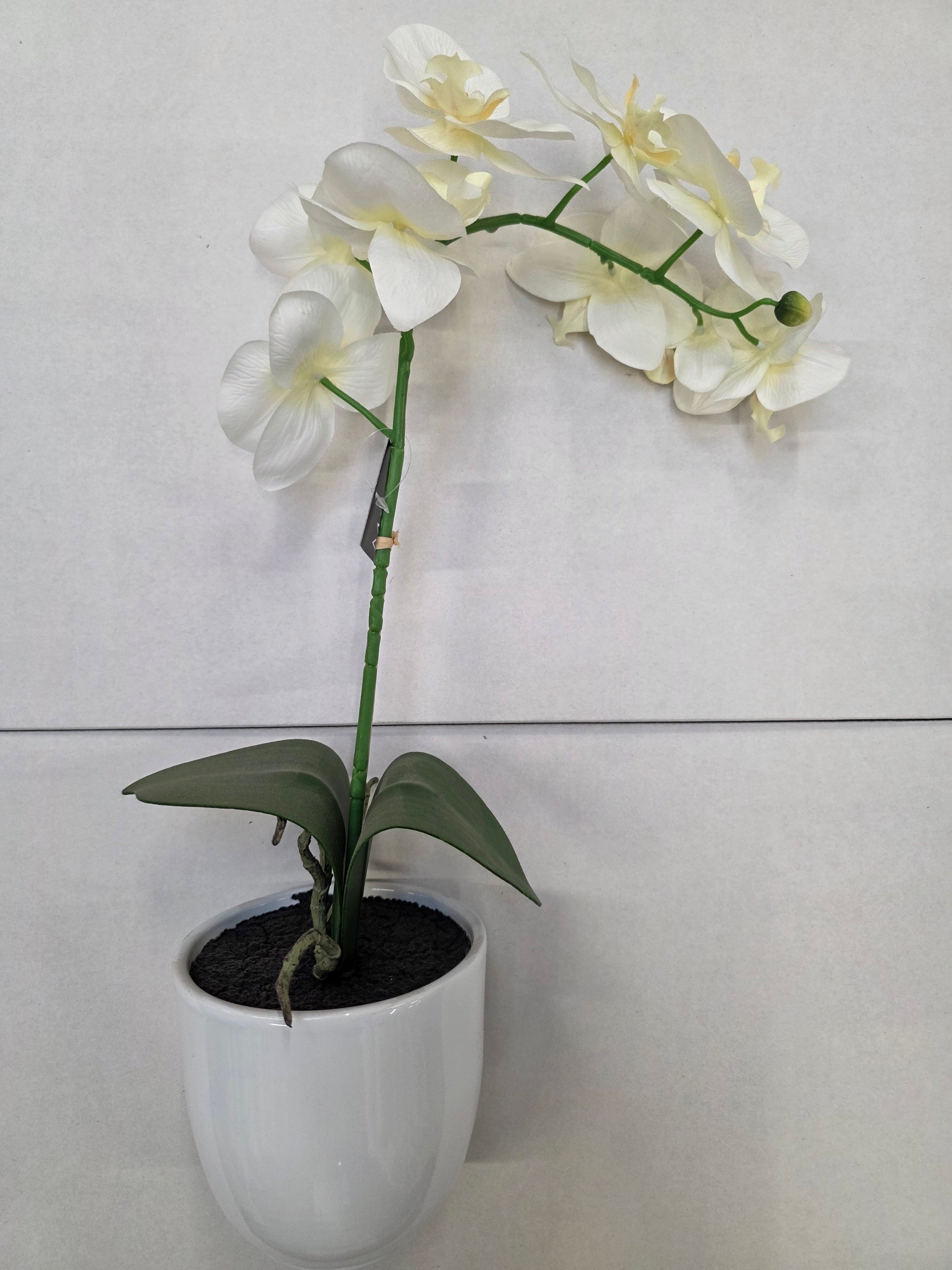 Artificial Phalaenopsis White In Pot 60cm