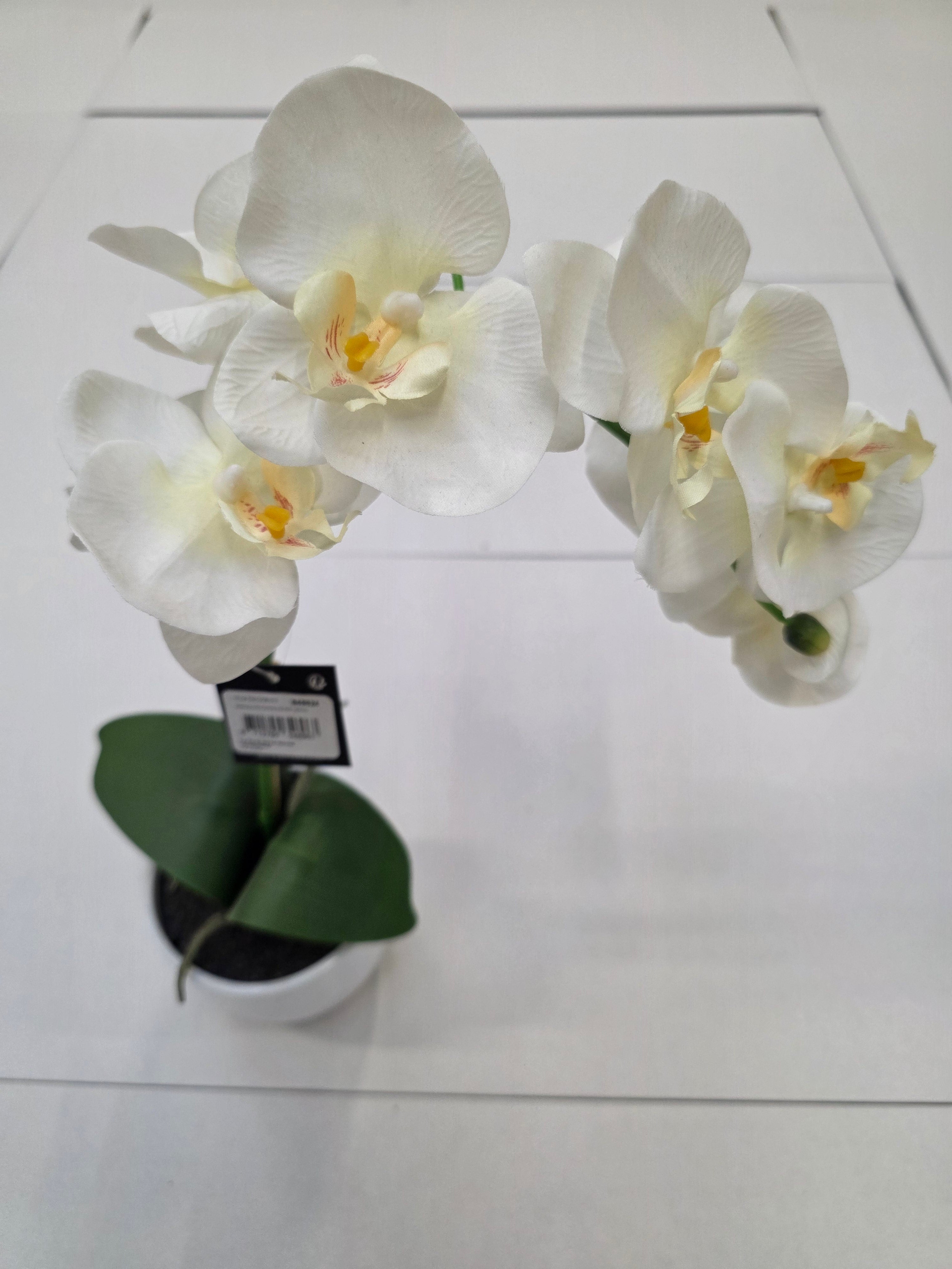 Artificial Phalaenopsis White In Pot 60cm