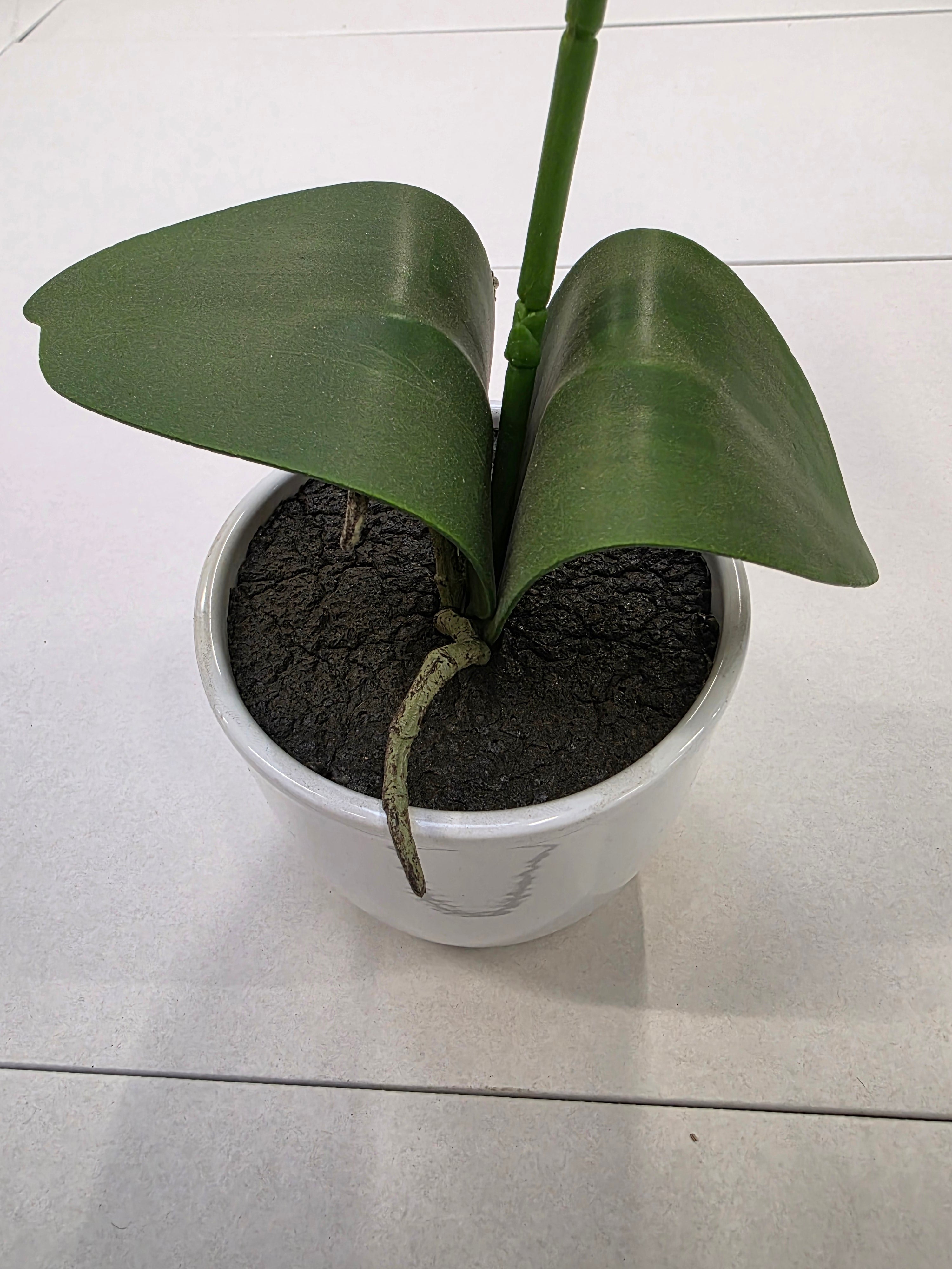 Artificial Phalaenopsis White In Pot 60cm