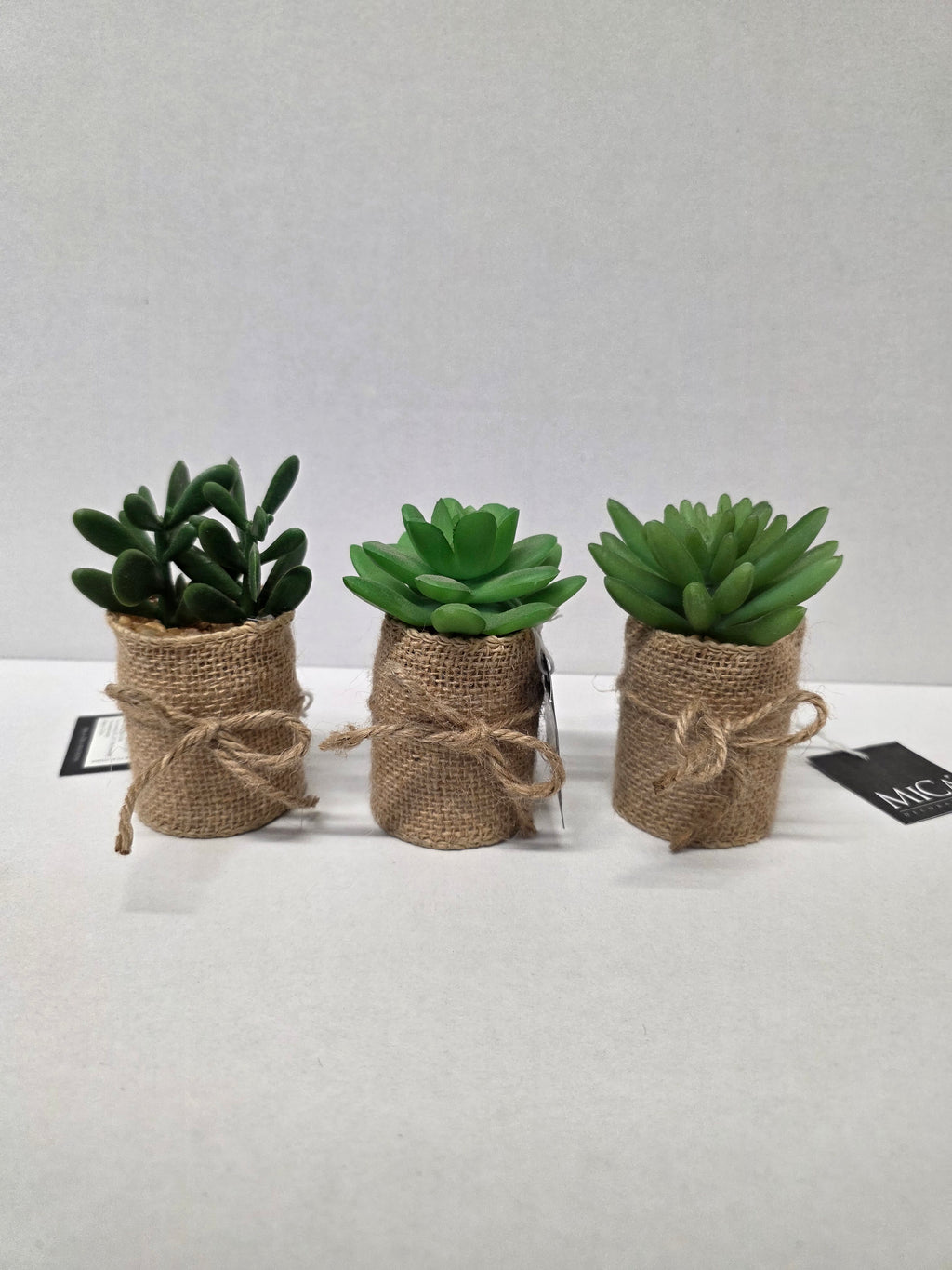 Artificial Succulent Assorted Hessian Pot (PACK OF 3)