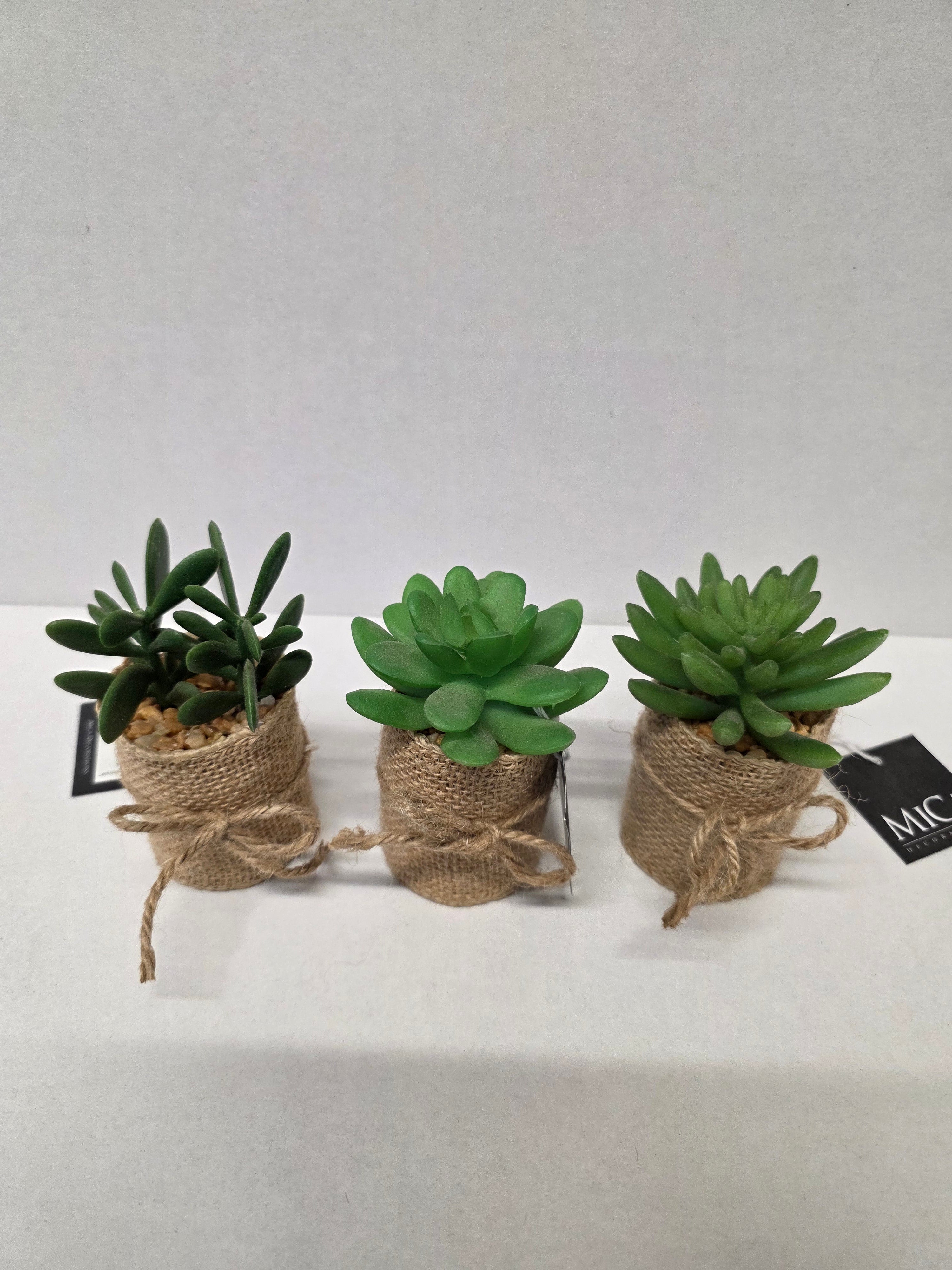 Artificial Succulent Assorted Hessian Pot (PACK OF 3)