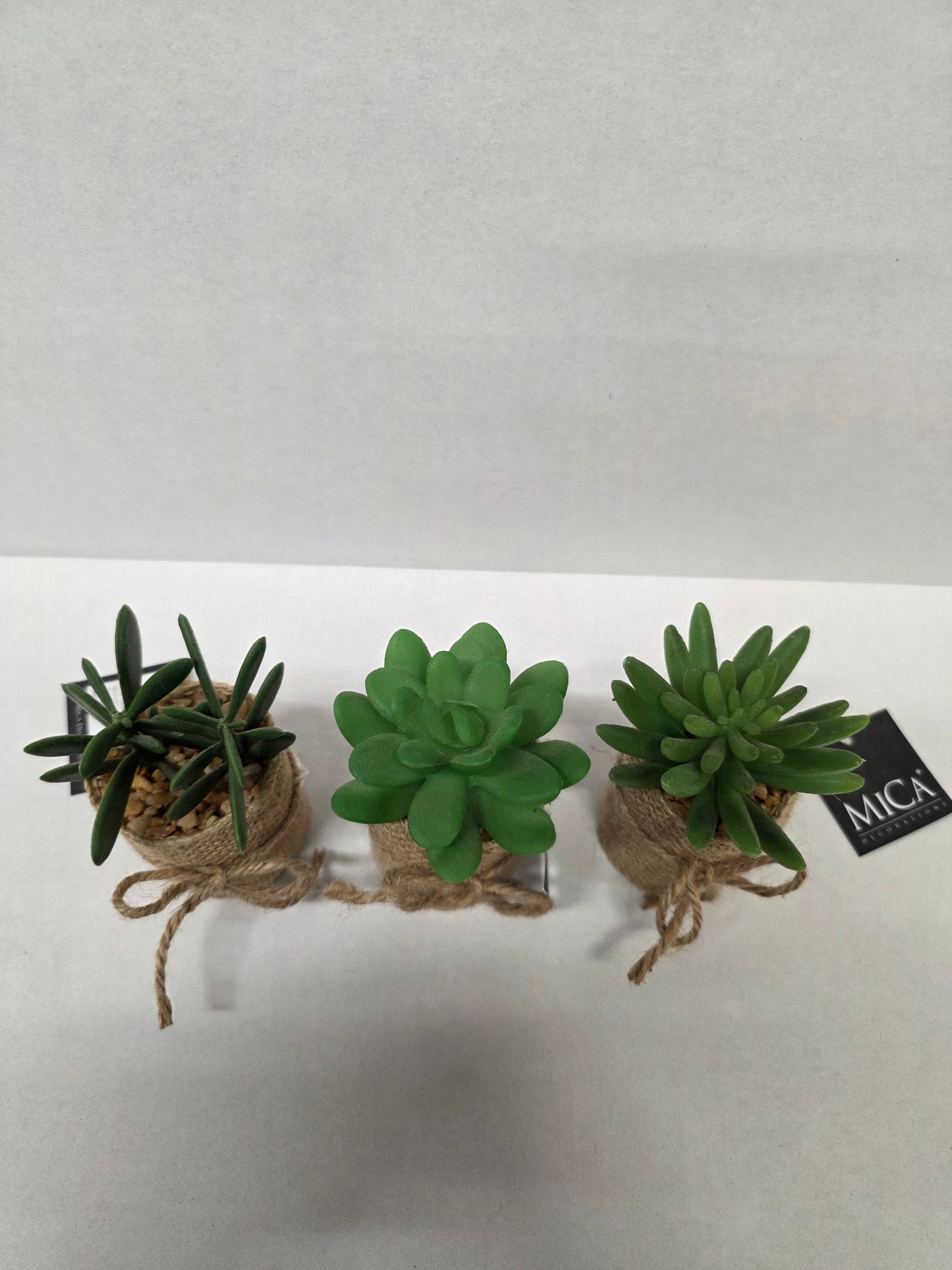 Artificial Succulent Assorted Hessian Pot (PACK OF 3)