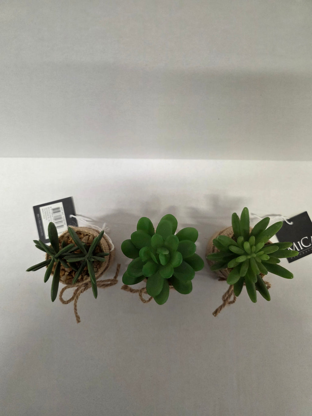 Artificial Succulent Assorted Hessian Pot (PACK OF 3)