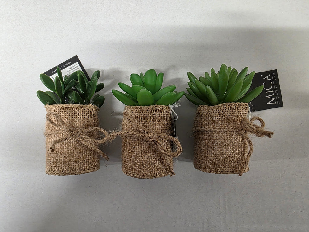 Artificial Succulent Assorted Hessian Pot (PACK OF 3)