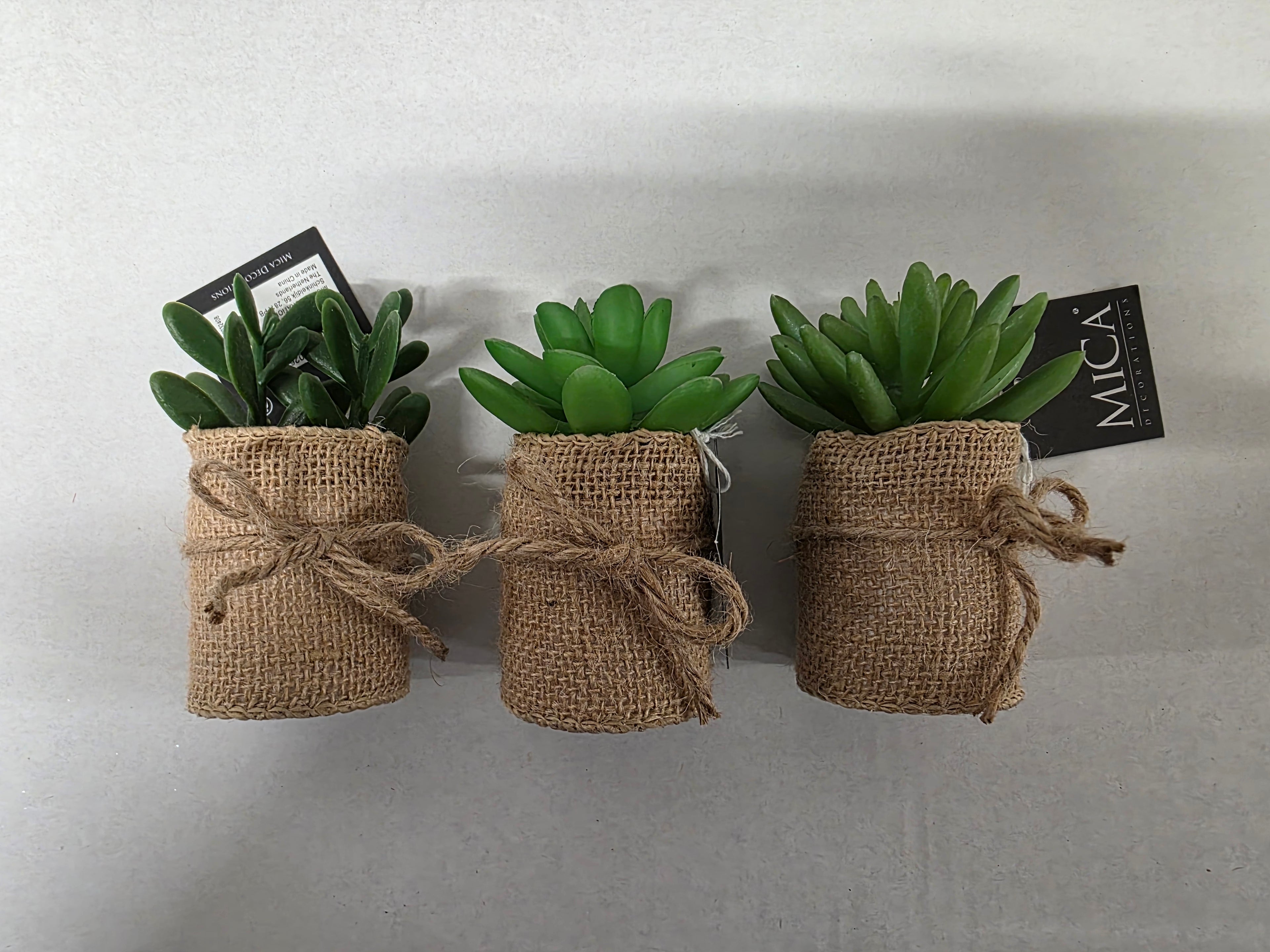 Artificial Succulent Assorted Hessian Pot (PACK OF 3)