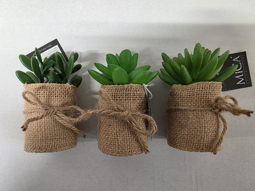 Artificial Succulent Assorted Hessian Pot (PACK OF 3)