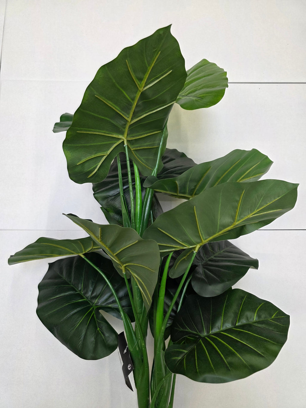Artificial Taro In Pot Green 100x70cm