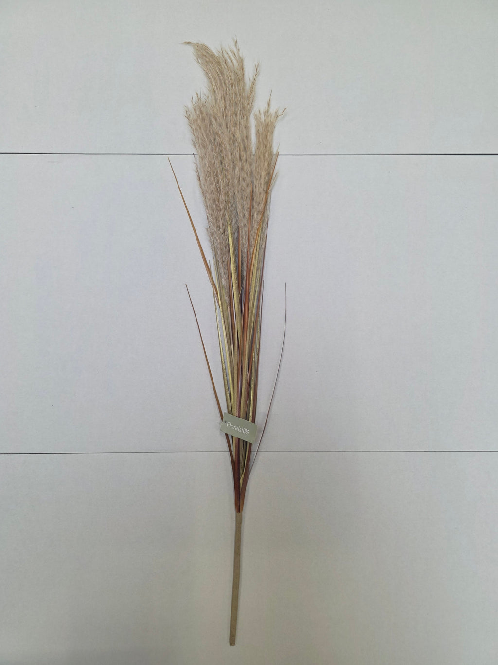 Artifical Dried Effect Reed Spray Cream (PACK OF 2)