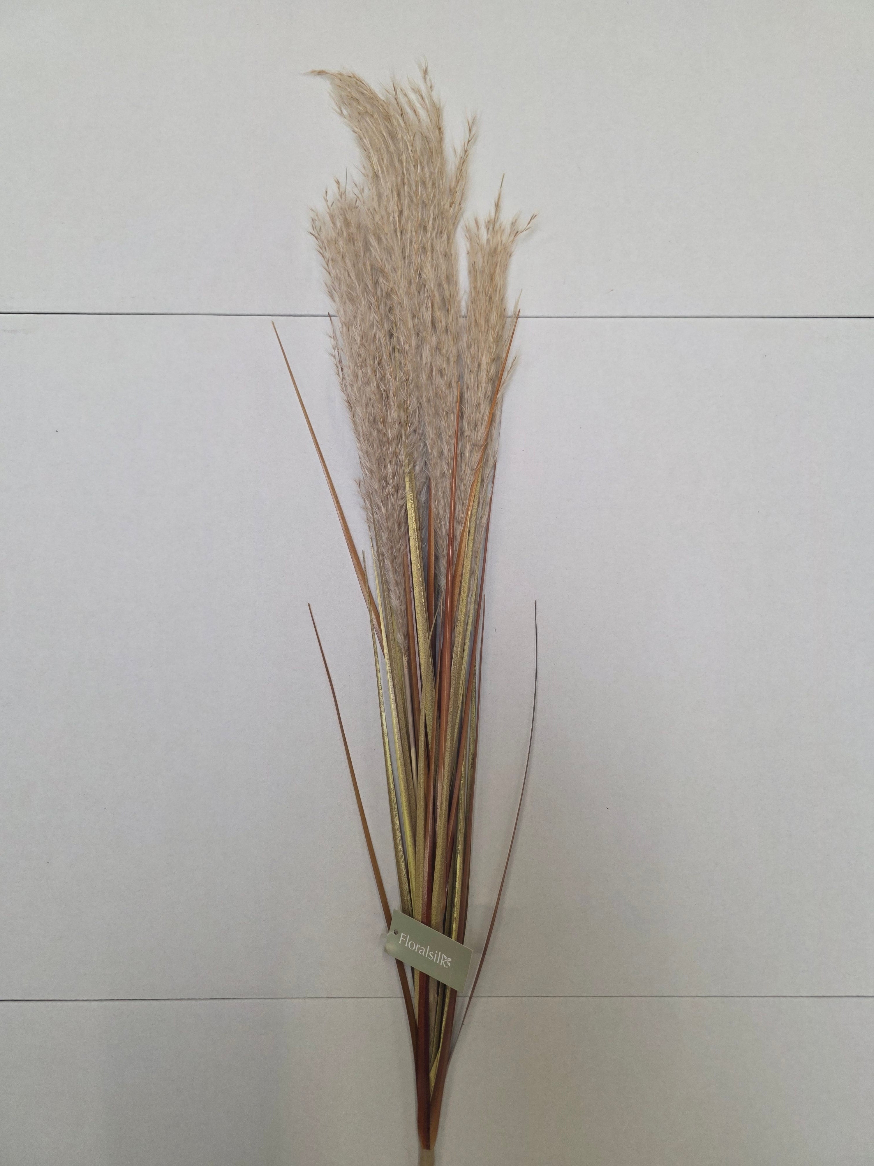 Artifical Dried Effect Reed Spray Cream (PACK OF 2)