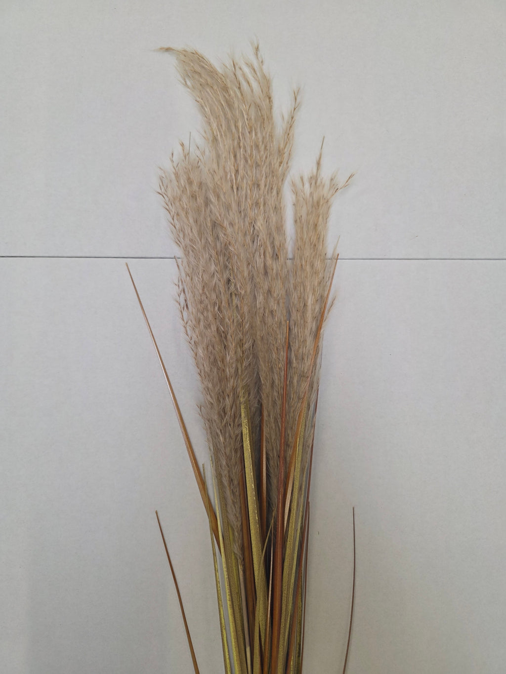 Artifical Dried Effect Reed Spray Cream (PACK OF 2)