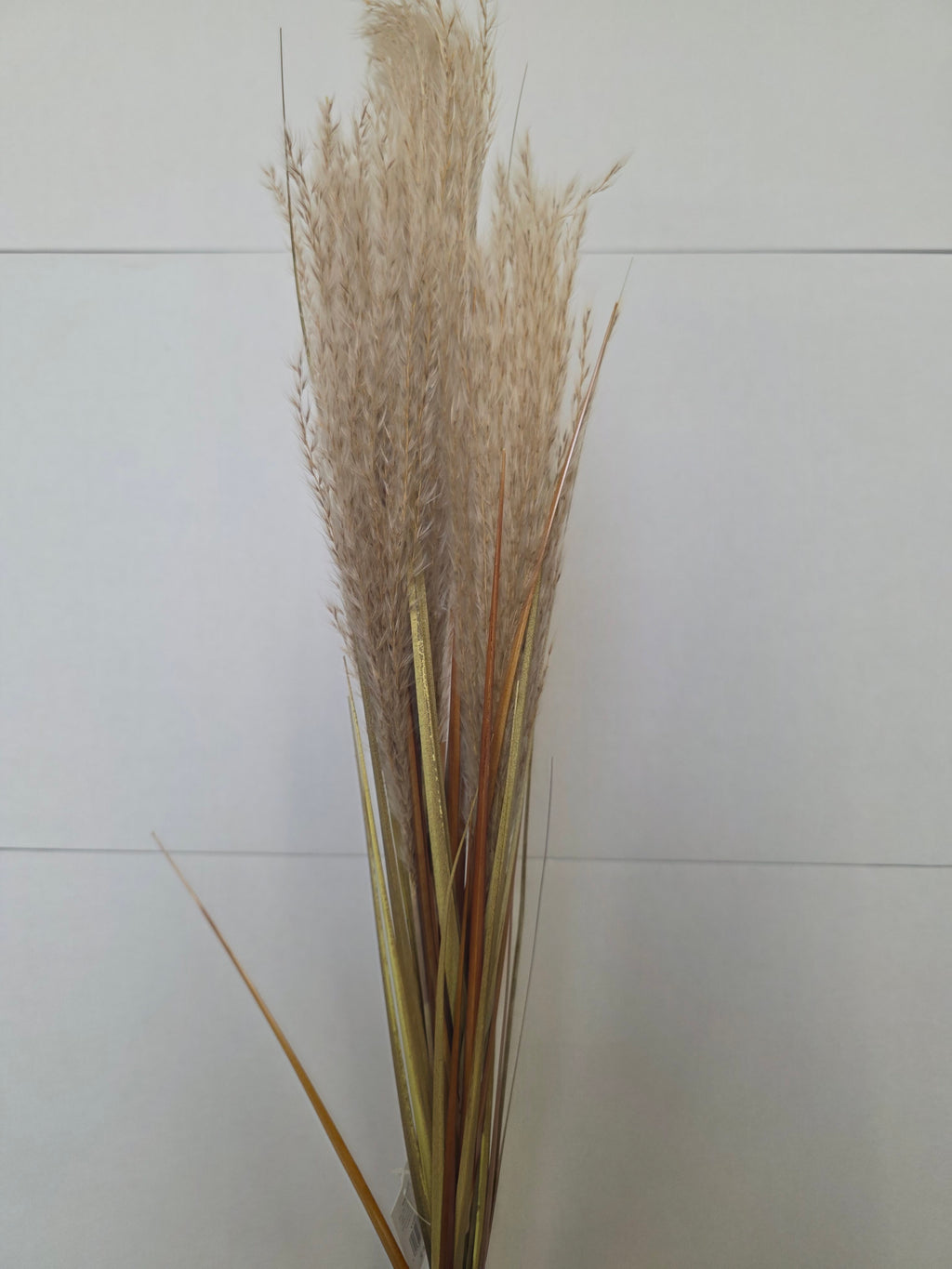 Artifical Dried Effect Reed Spray Cream (PACK OF 2)