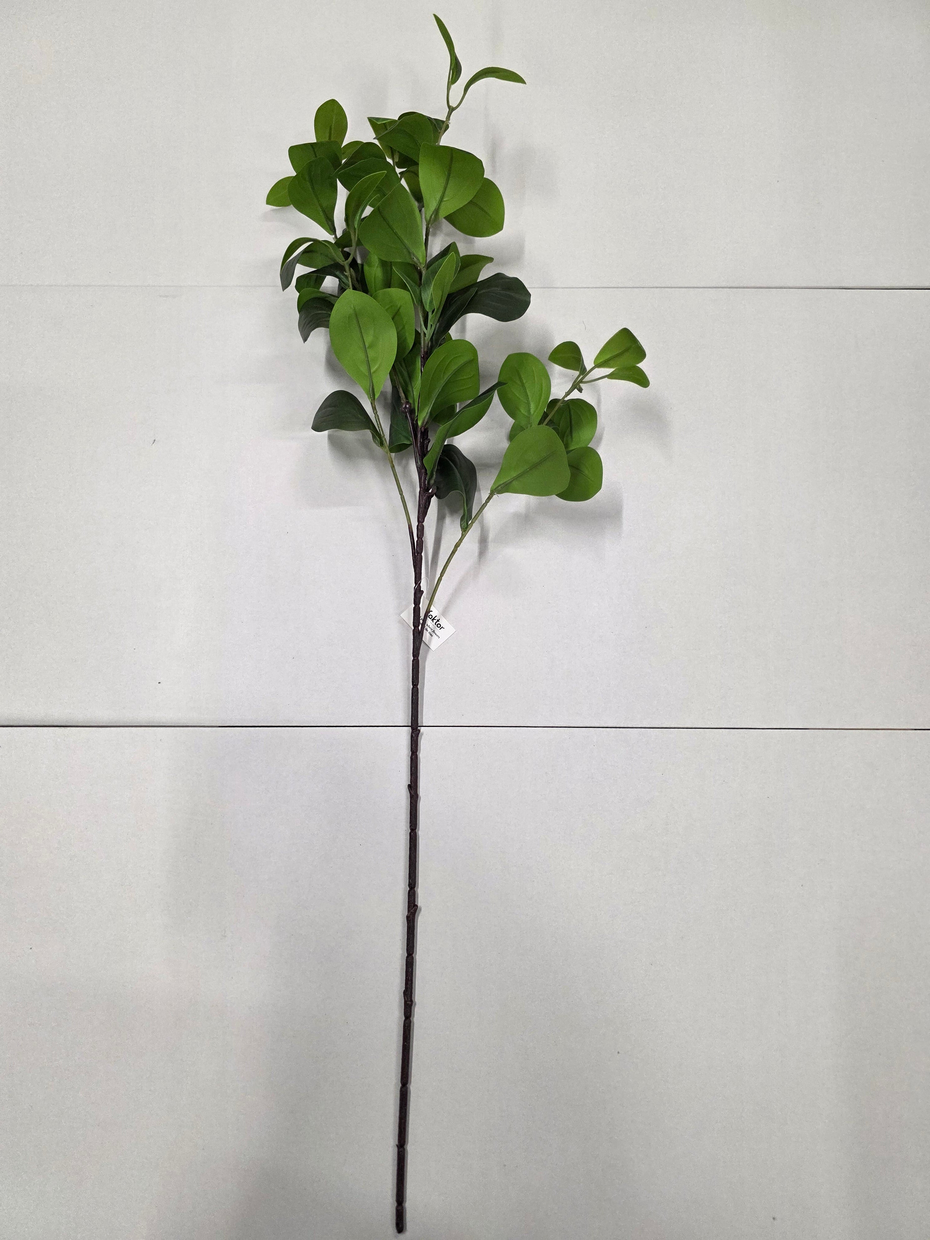 Artifical Clusia 90cm (PACK OF 2)