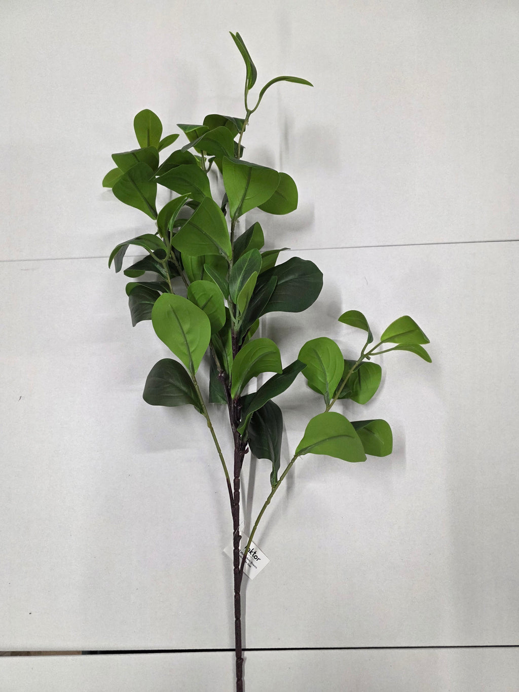 Artifical Clusia 90cm (PACK OF 2)