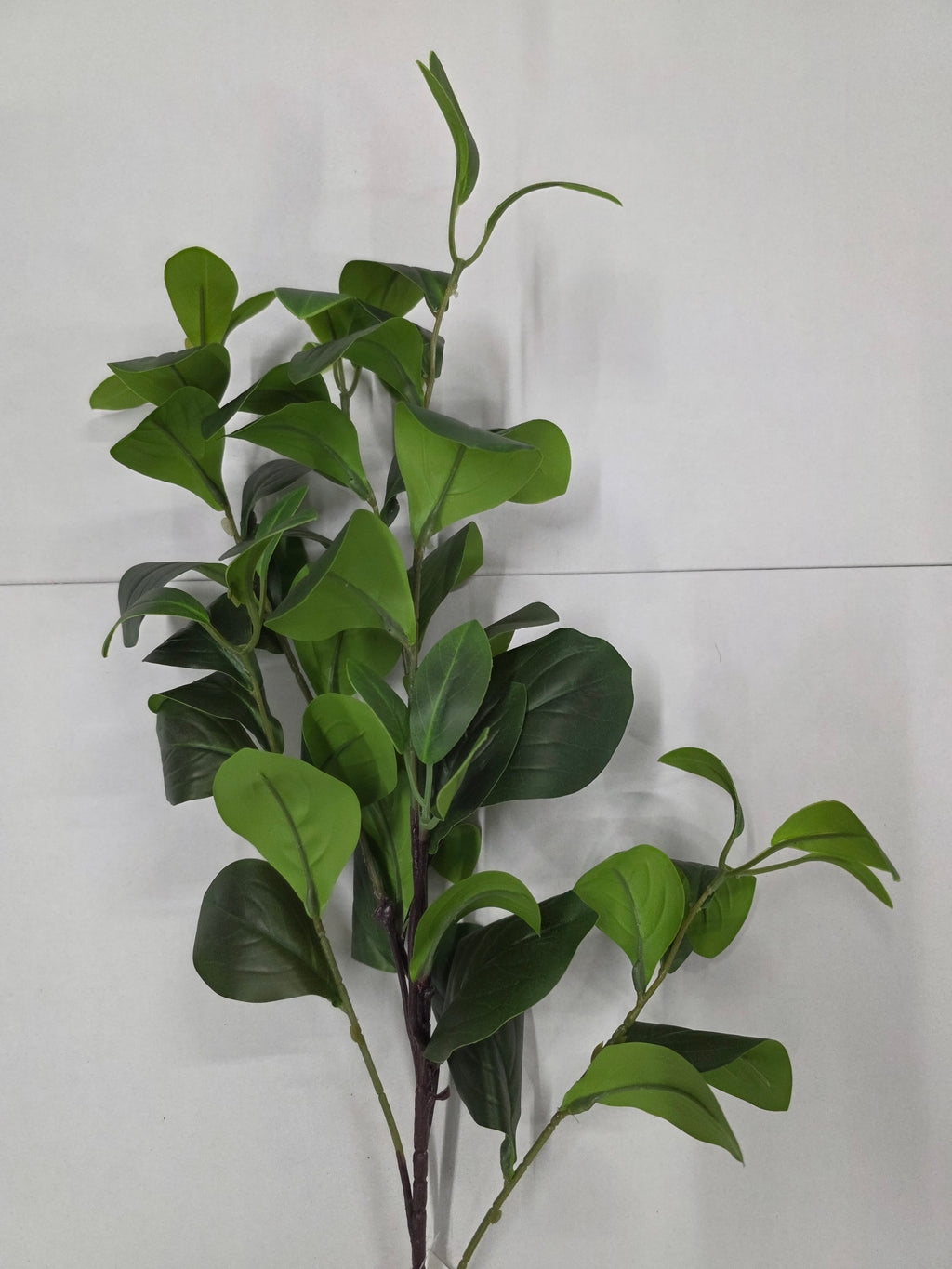 Artifical Clusia 90cm (PACK OF 2)