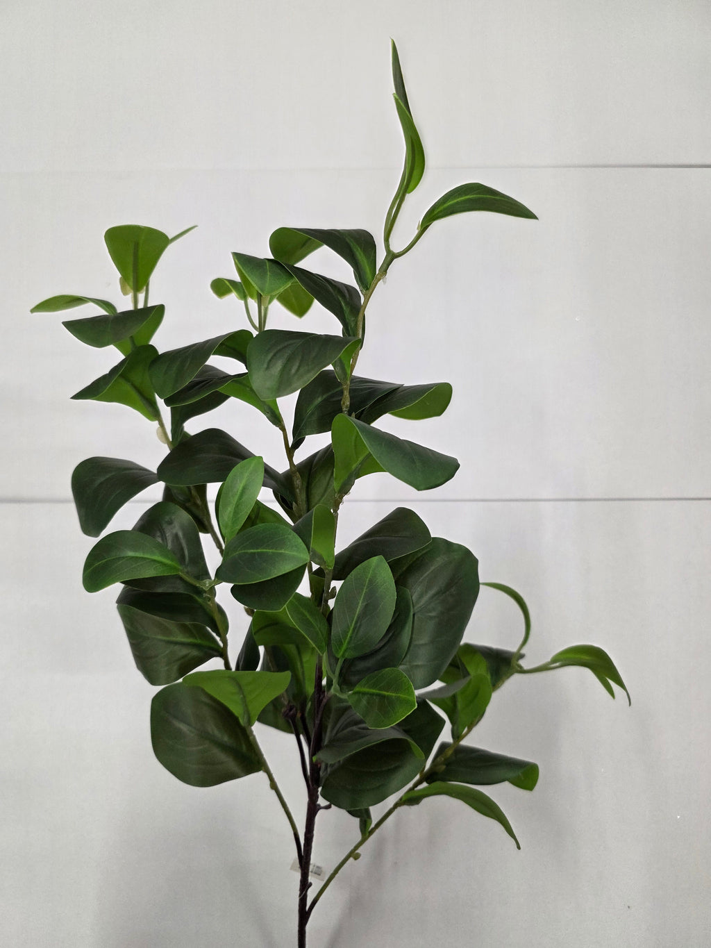 Artifical Clusia 90cm (PACK OF 2)