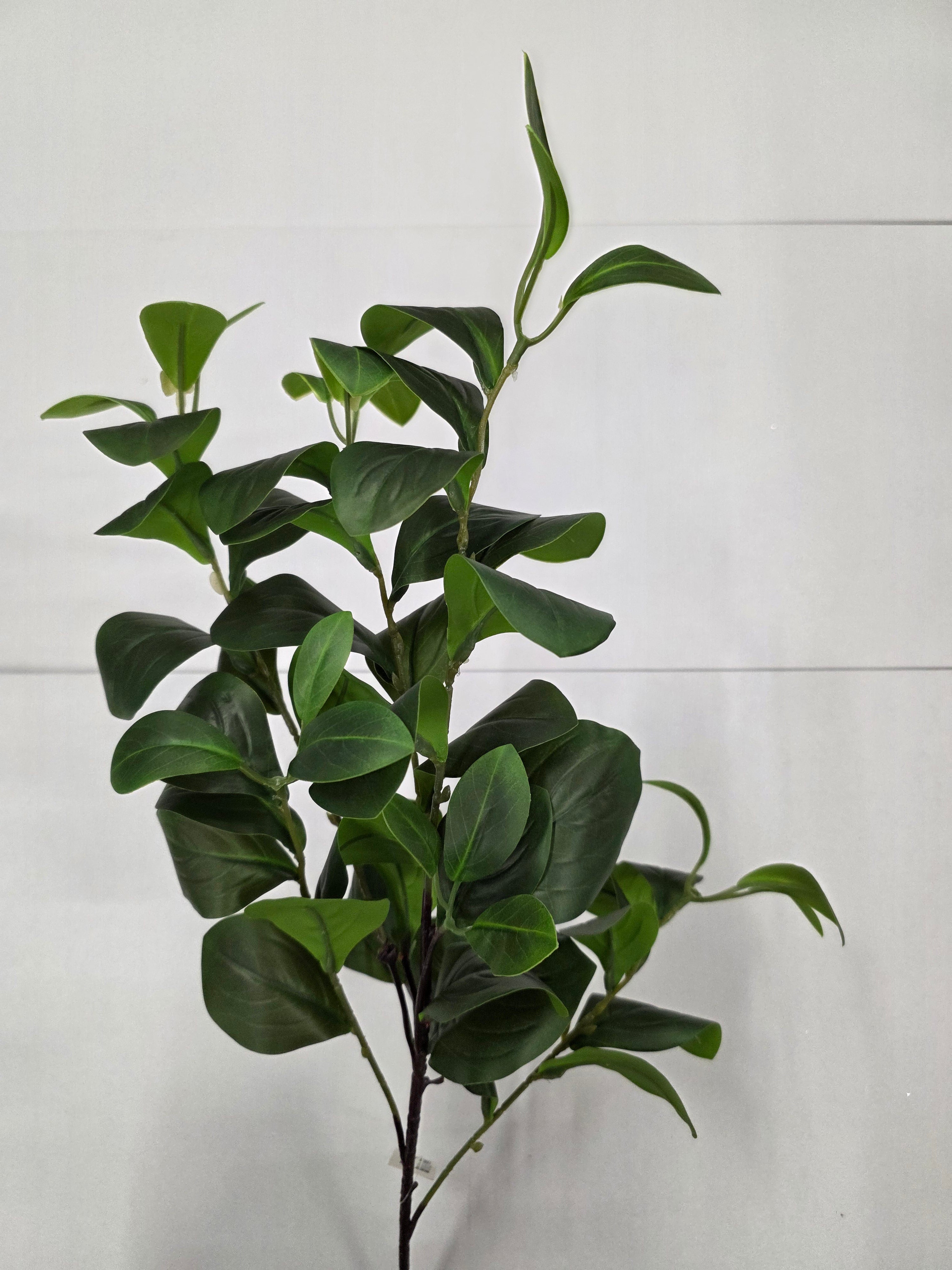 Artifical Clusia 90cm (PACK OF 2)