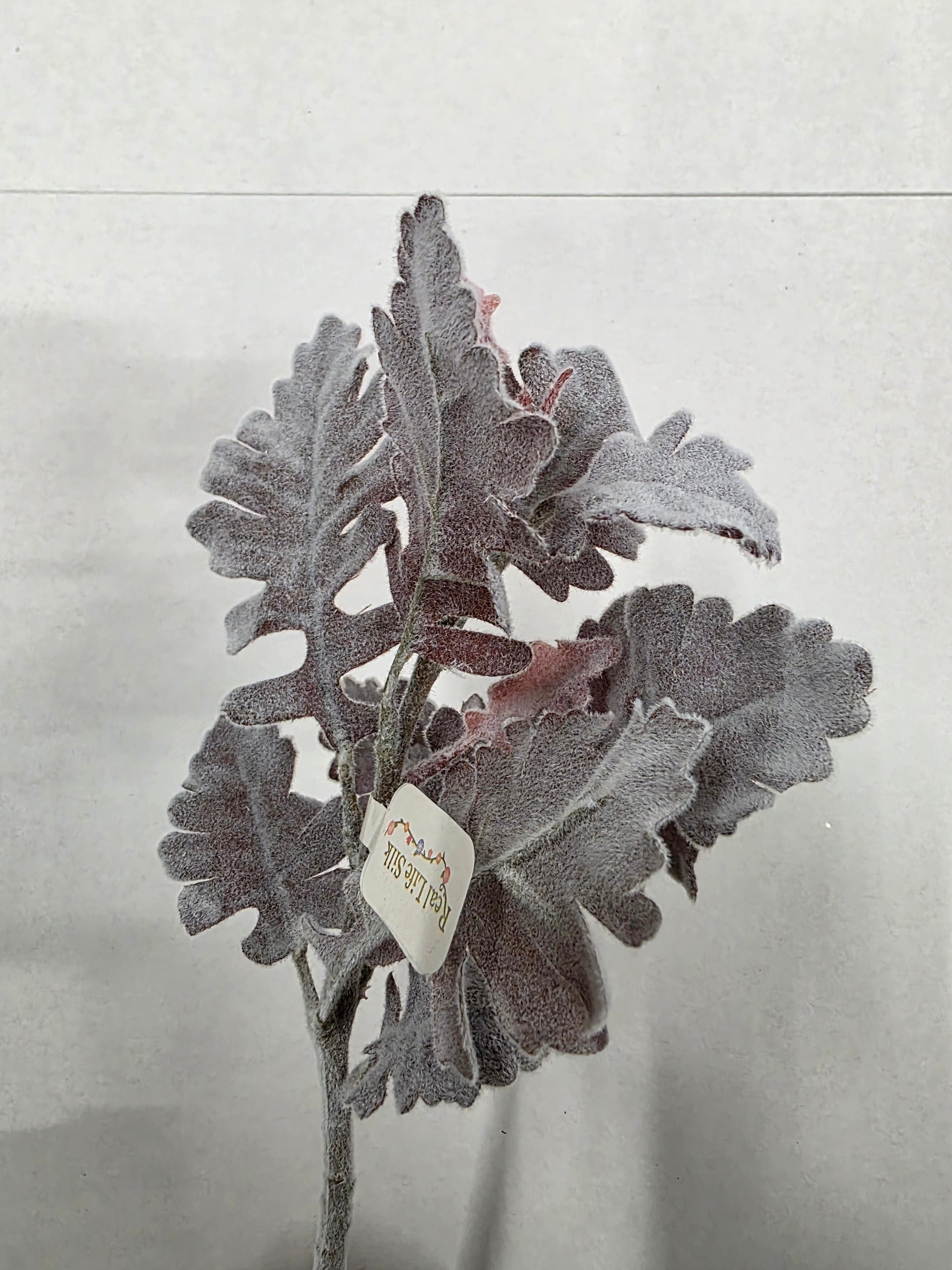 Artifical Dusty Miller Burgundy (PACK OF 3)