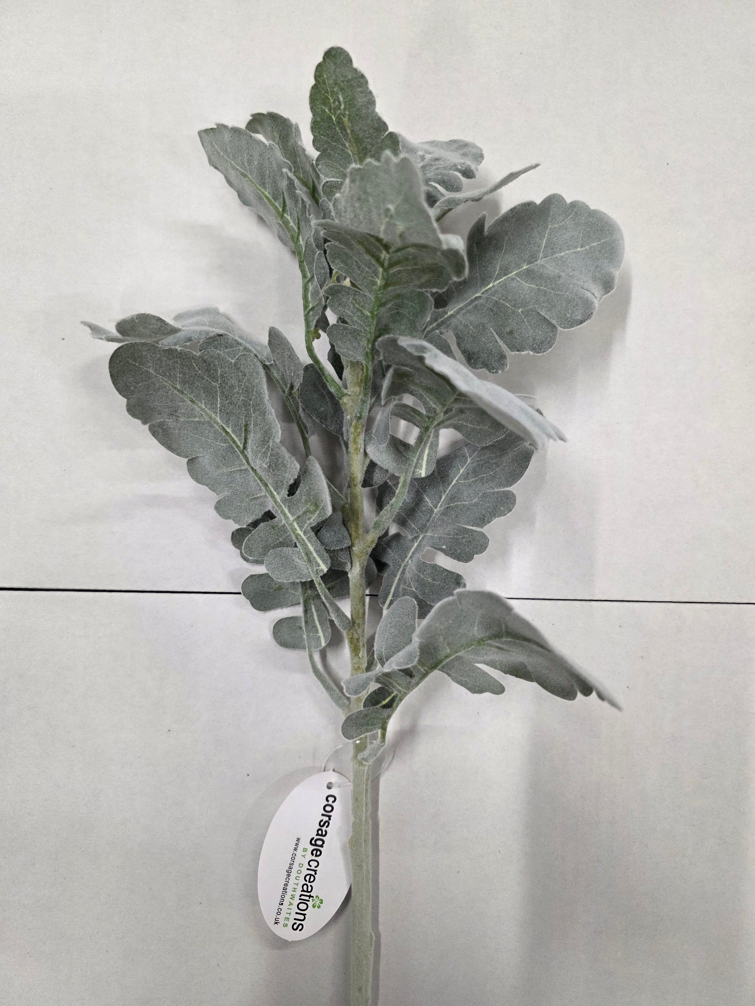 Artifical Dusty Miller Green Grey (PACK OF 2)