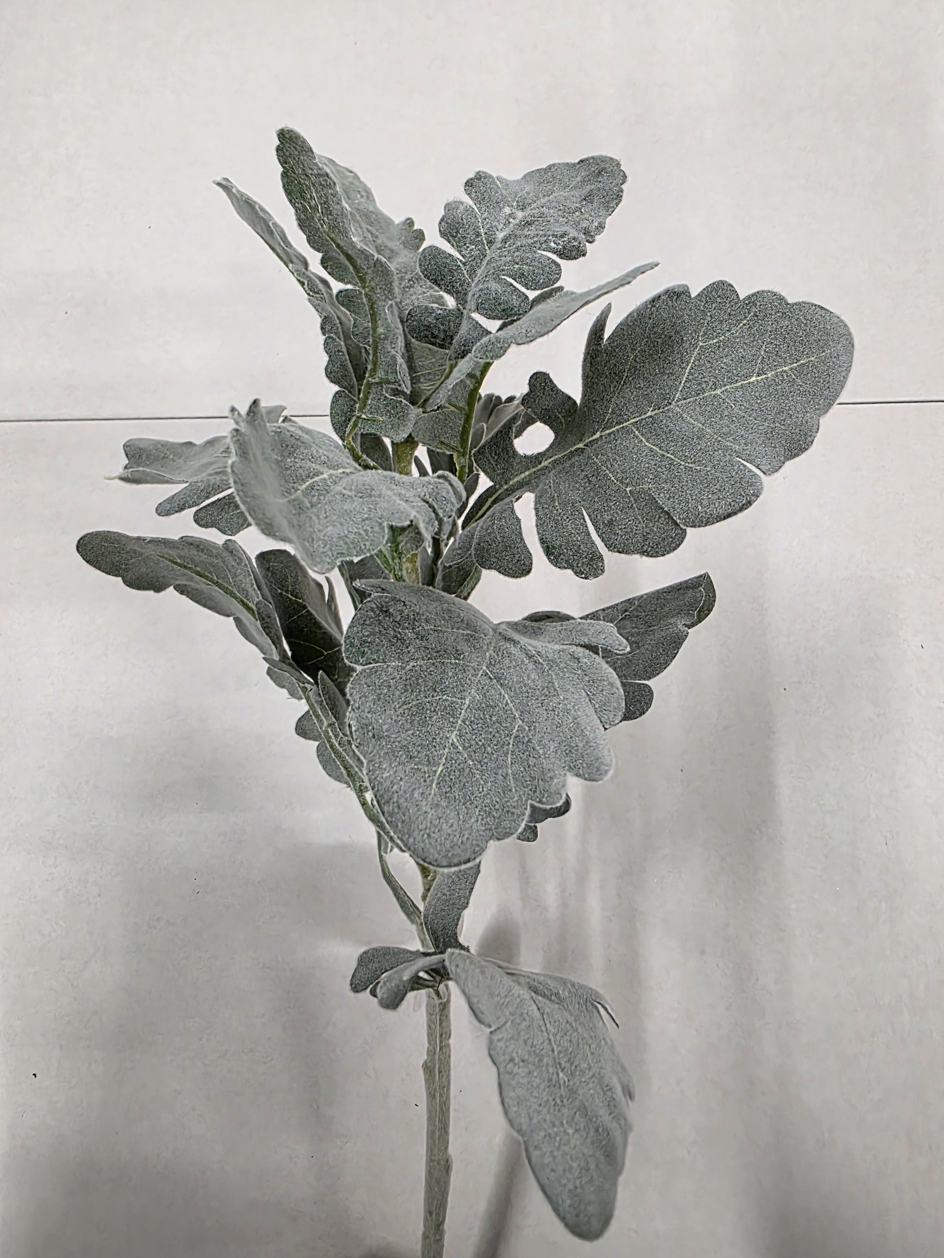 Artifical Dusty Miller Green Grey (PACK OF 2)