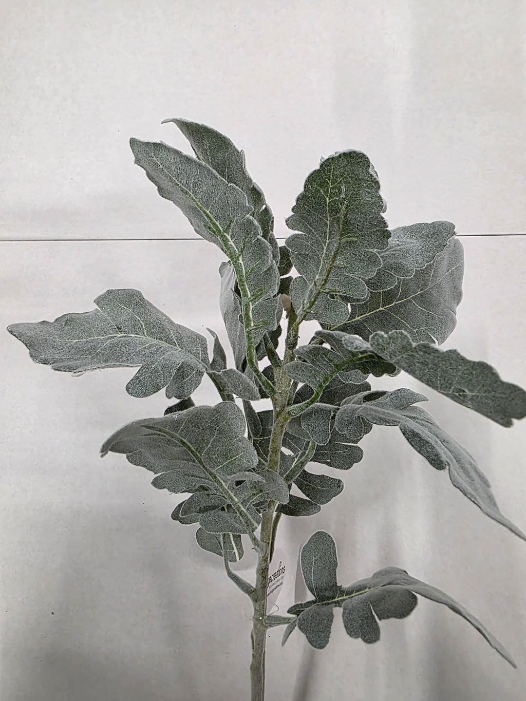 Artifical Dusty Miller Green Grey (PACK OF 2)